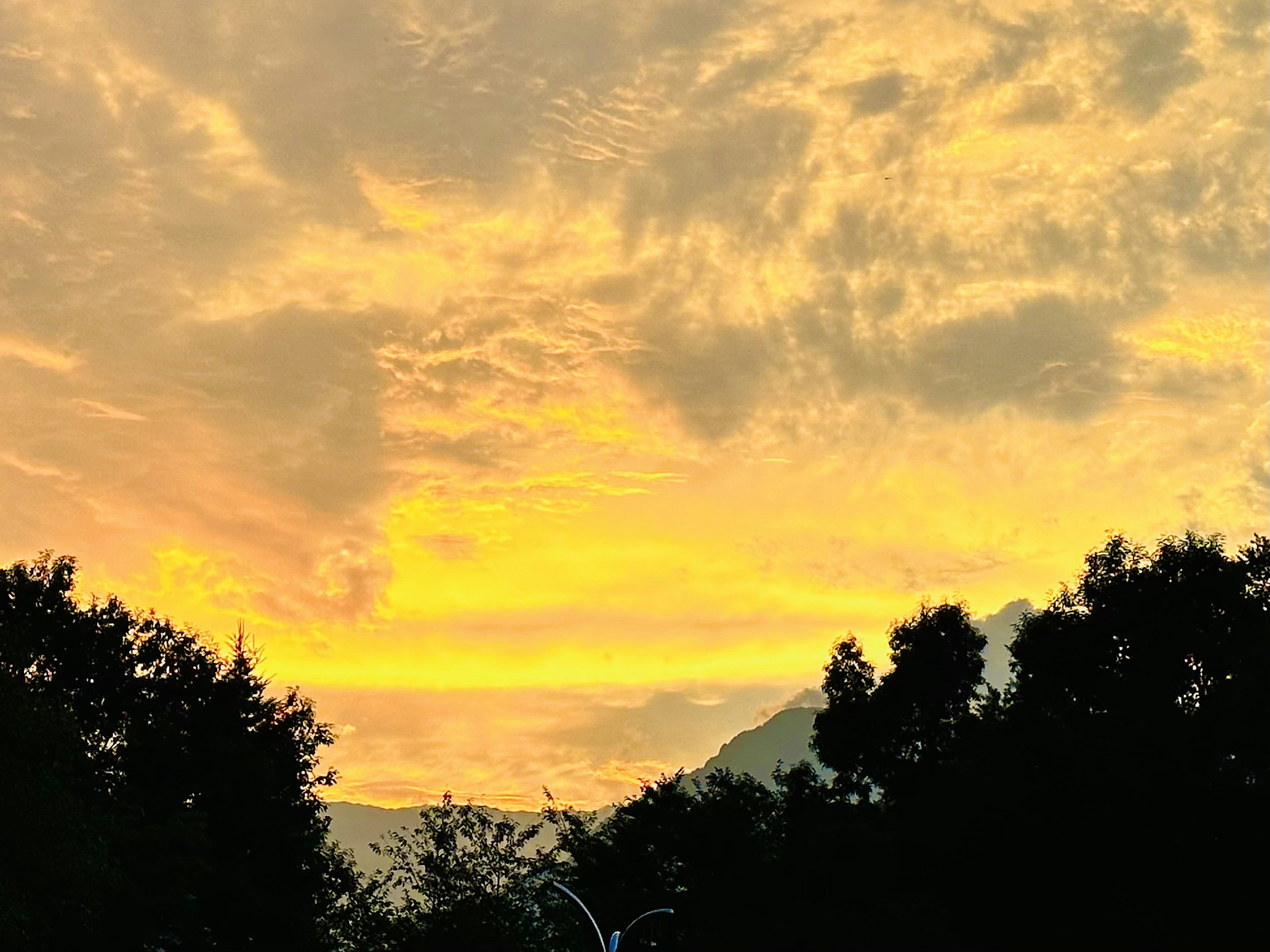 夕焼けの空にオレンジと黄色の色合いが広がるシルエットの木々