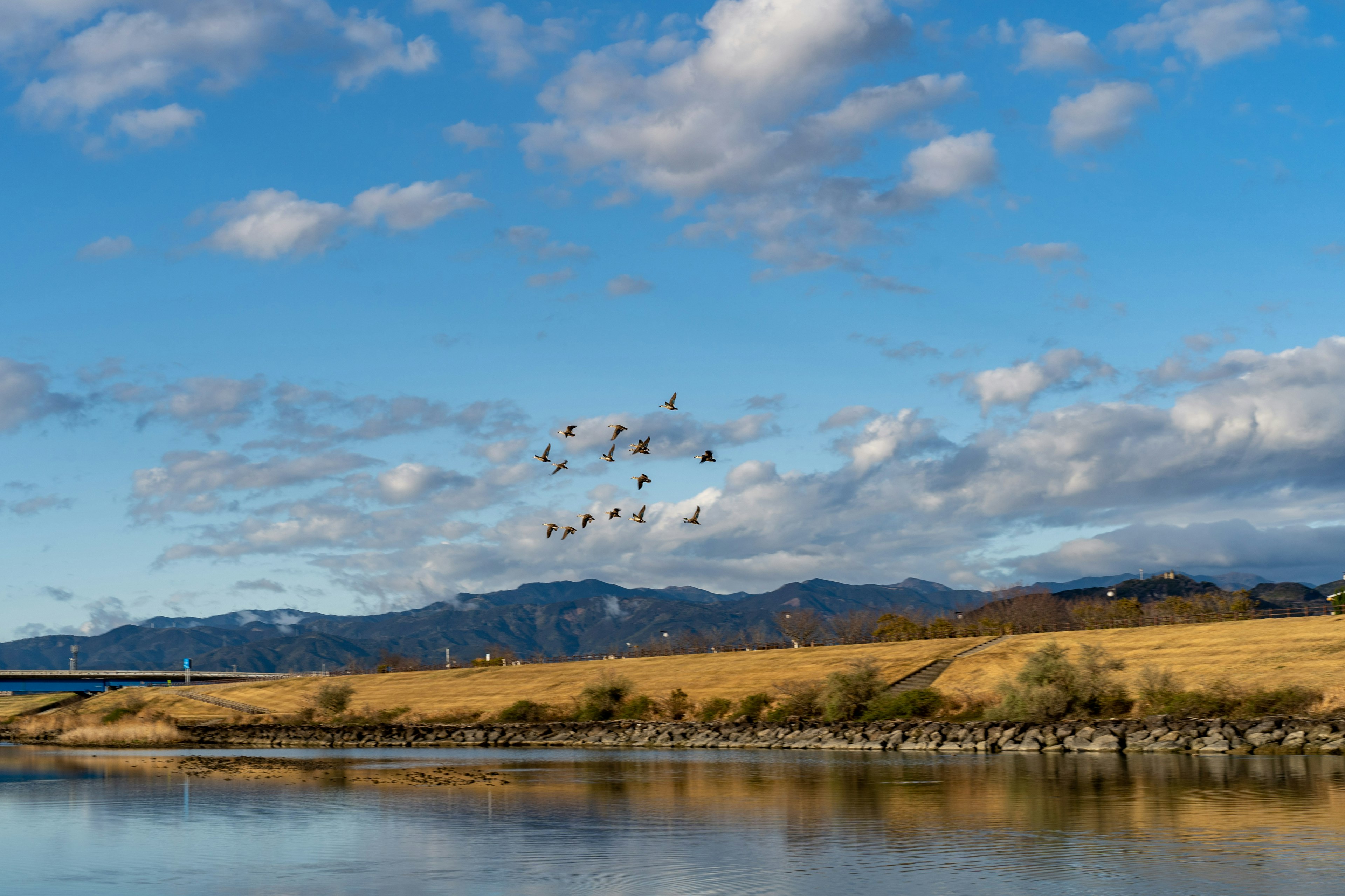 Malerei mit blauem Himmel Wolken und reflektierendem Wasser Vögel fliegen in Formation