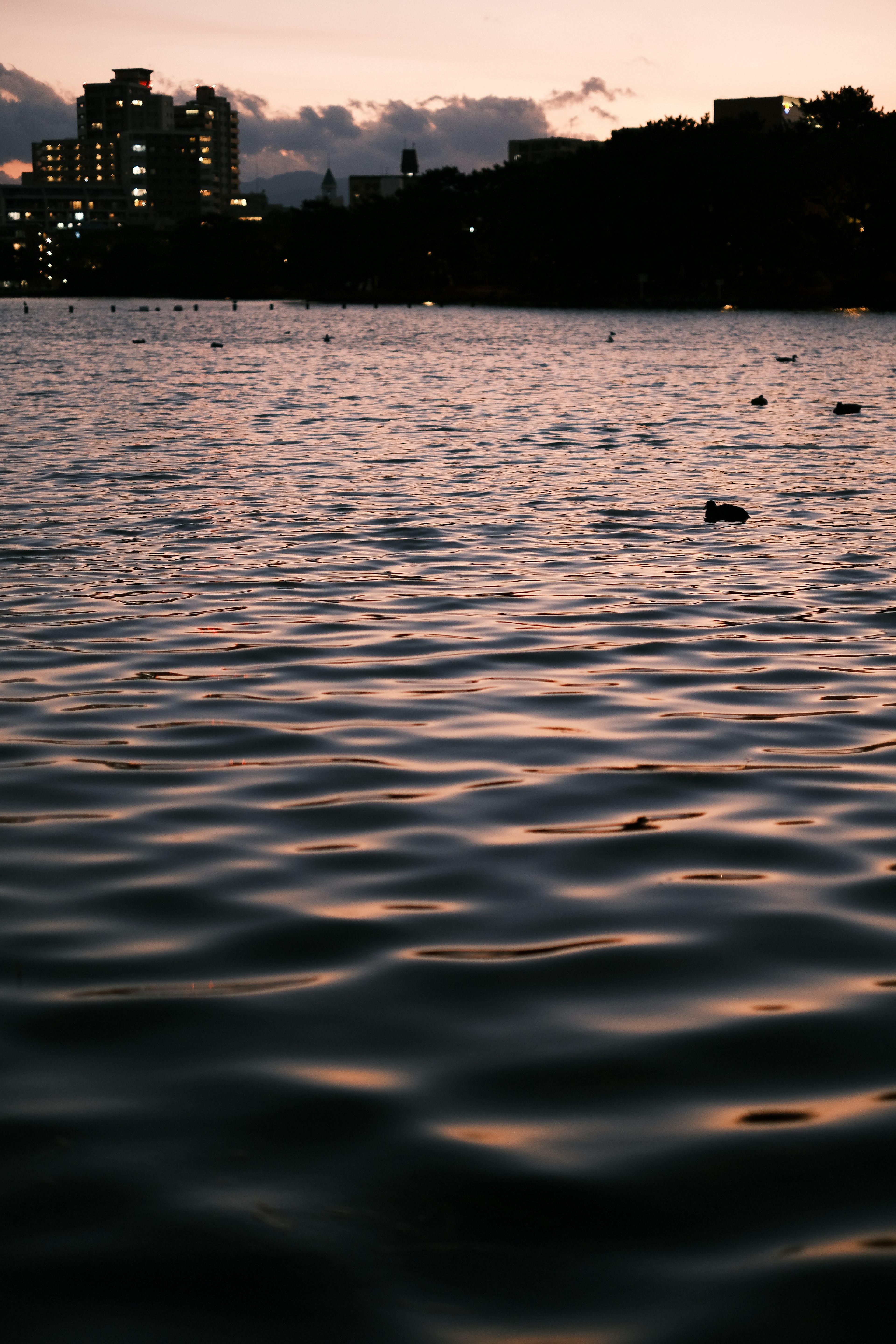 Superficie de agua serena reflejando las luces de la ciudad al anochecer