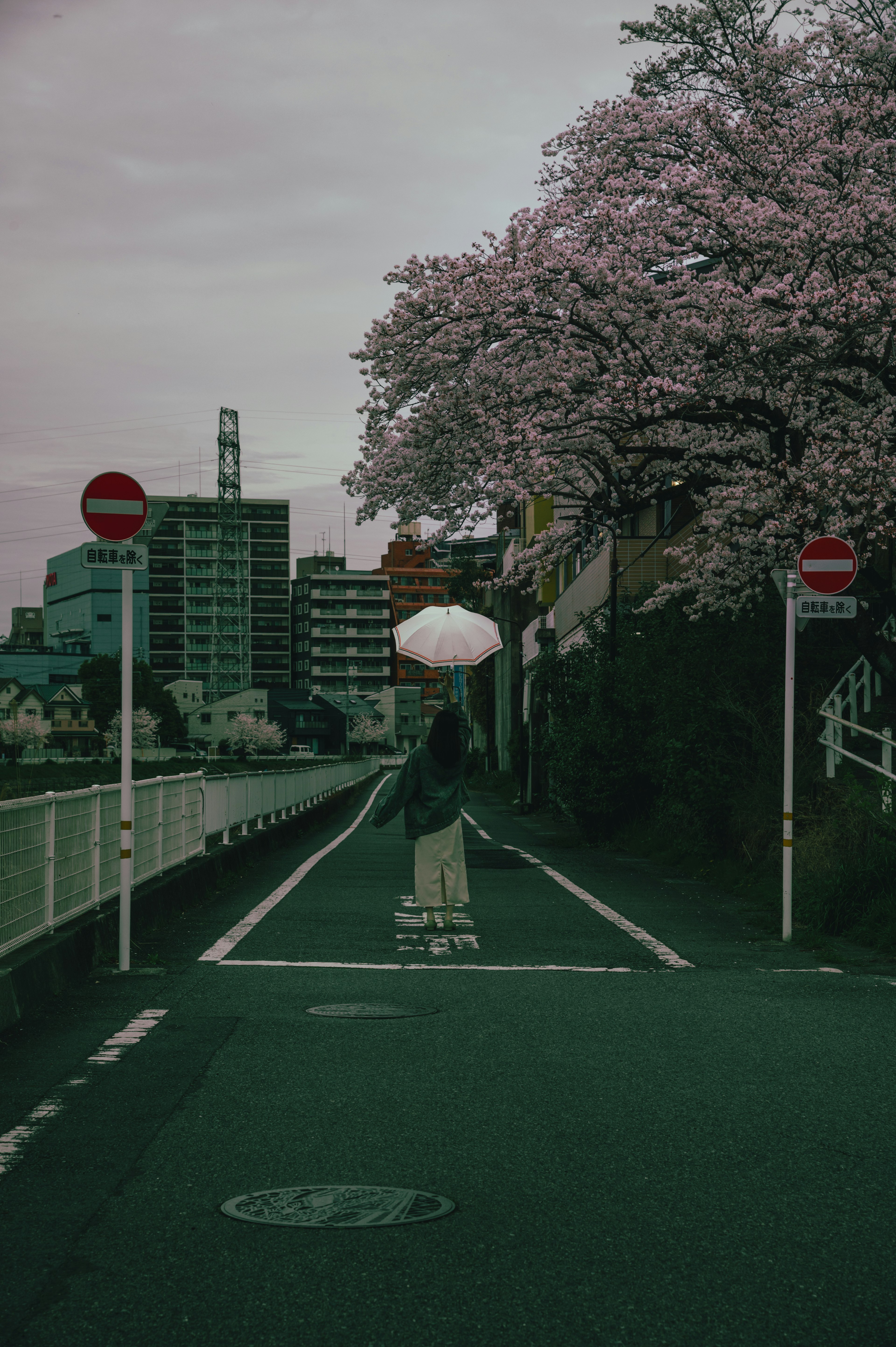 桜の木の下で傘を持つ人物が描かれた静かな街道の風景