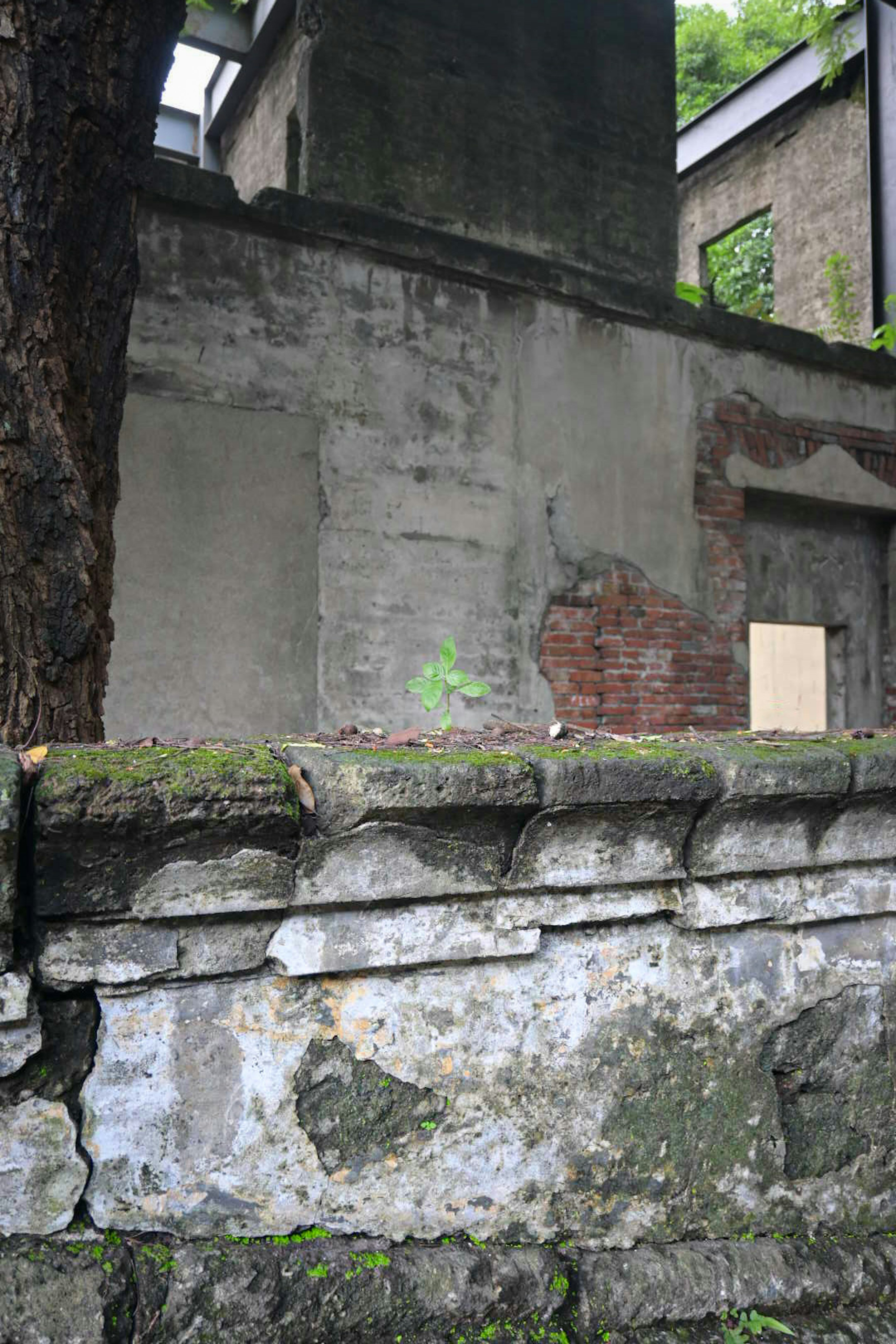 Eine abgenutzte Betonwand mit sichtbaren Backsteinabschnitten