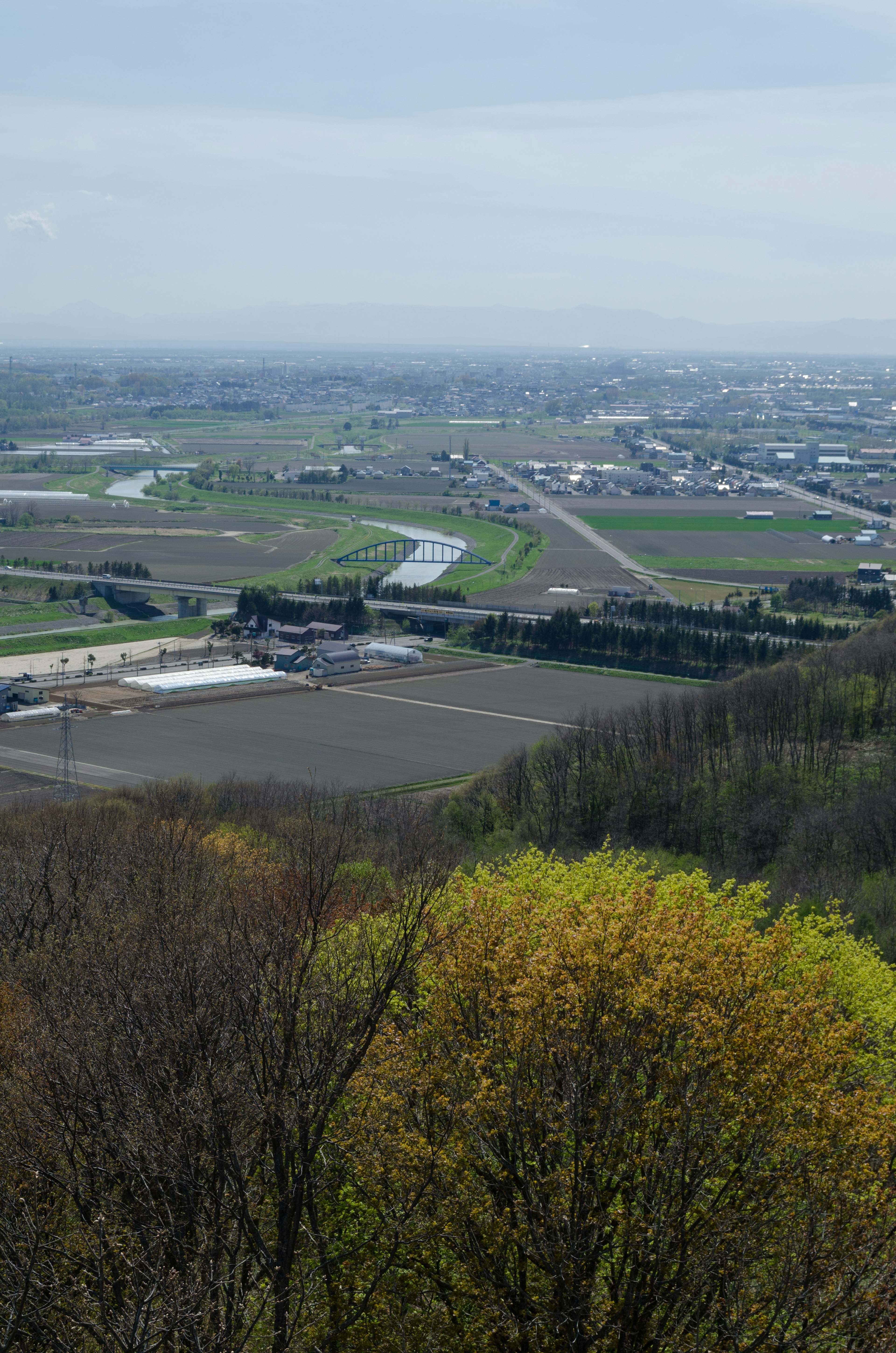 Panoramablick auf grüne Bäume und Ackerland