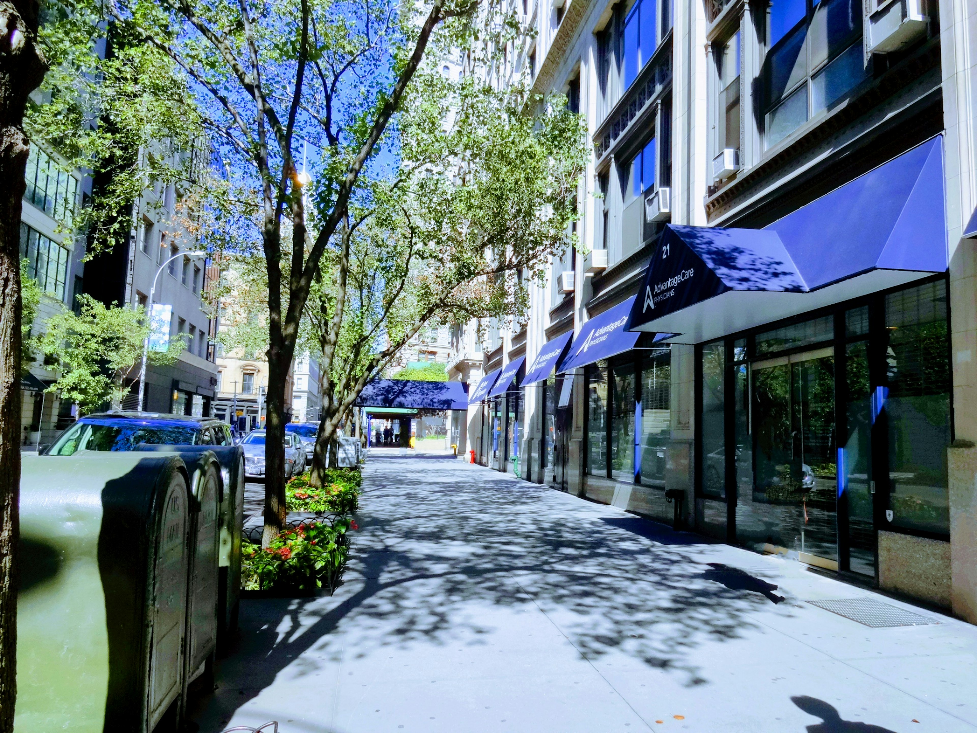 Street view featuring shops and trees under a blue sky