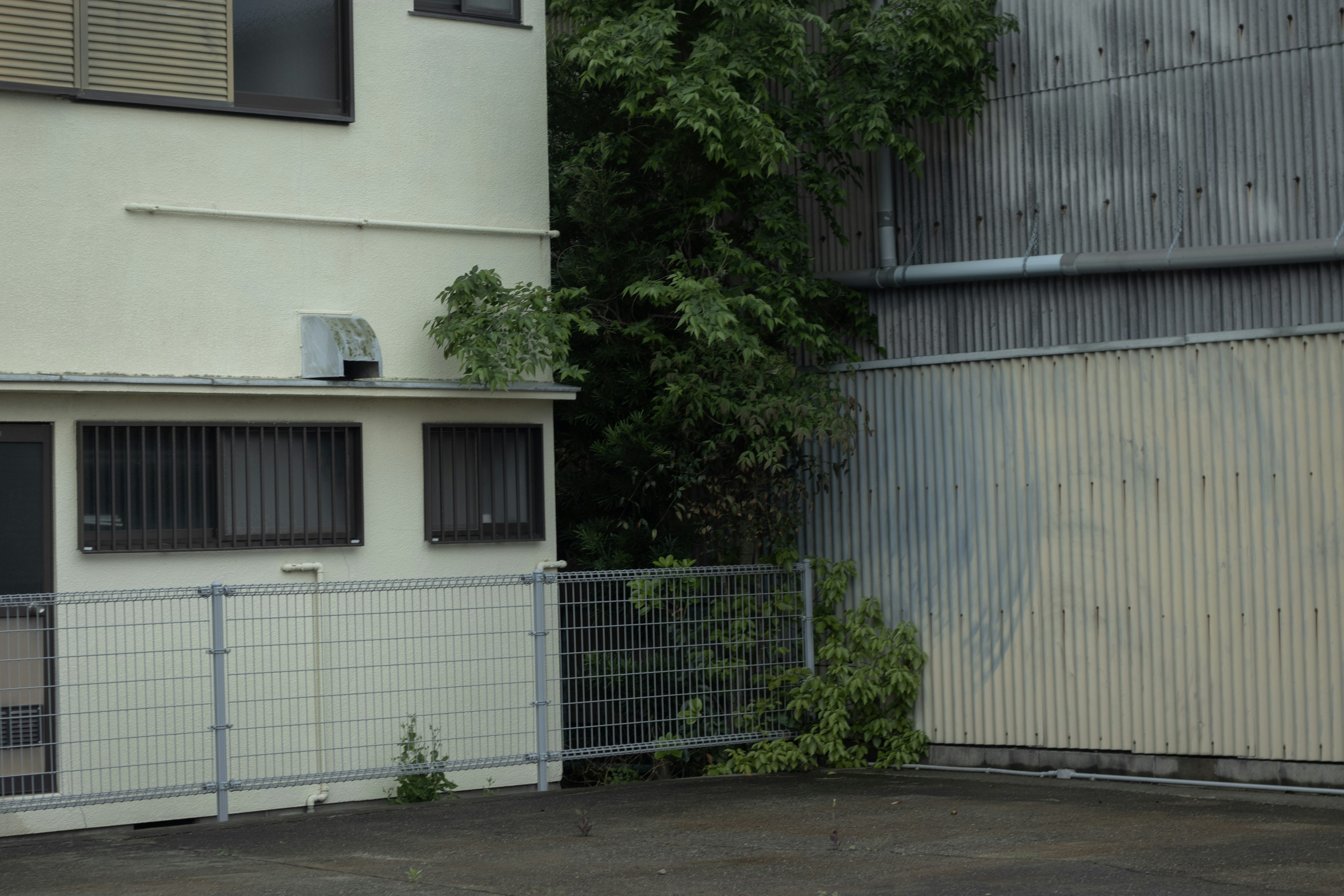 Una escena tranquila con un edificio blanco y una pared de metal con vegetación cercana