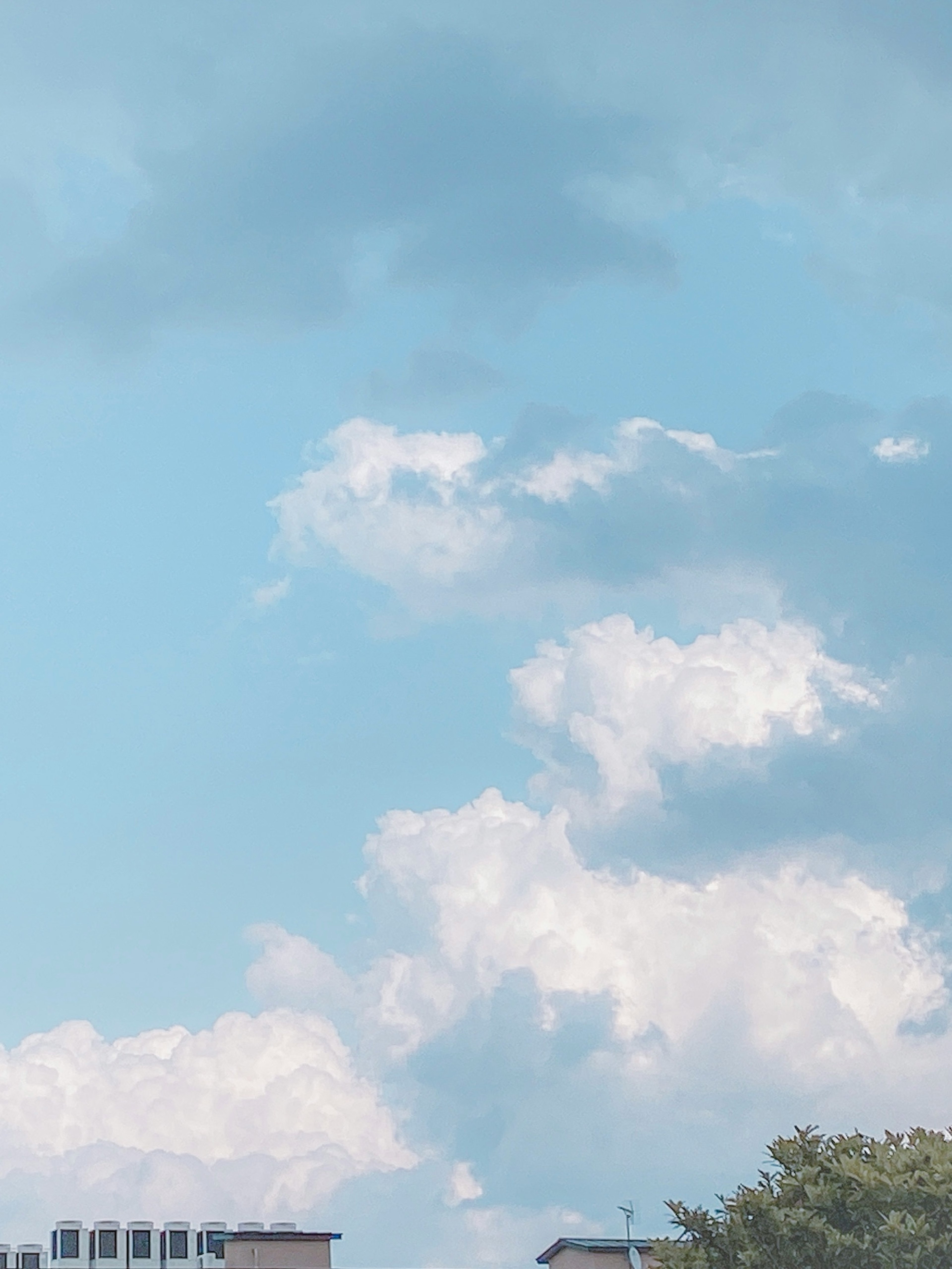 青空に浮かぶ白い雲の風景