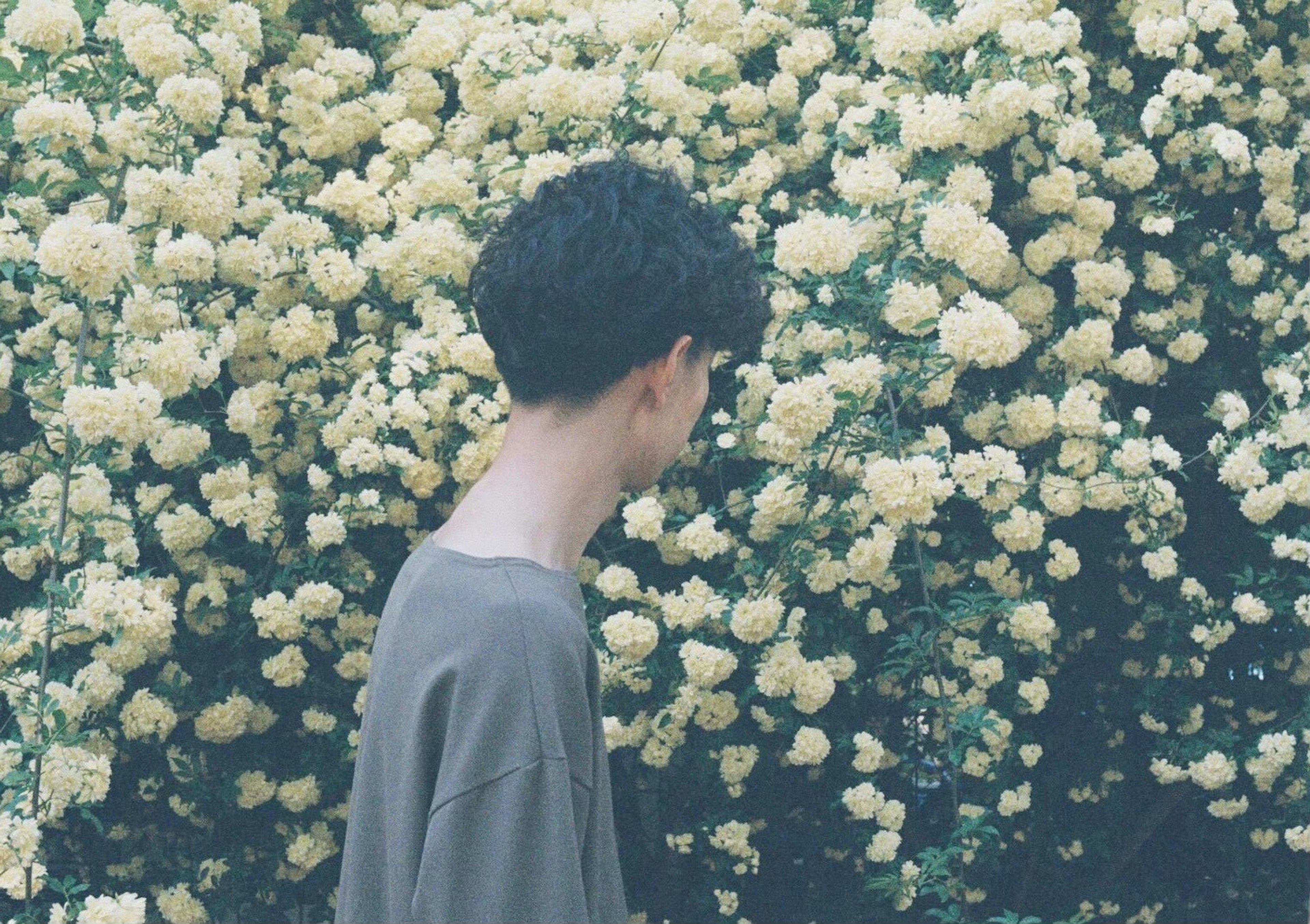 Young person facing away surrounded by yellow flowers