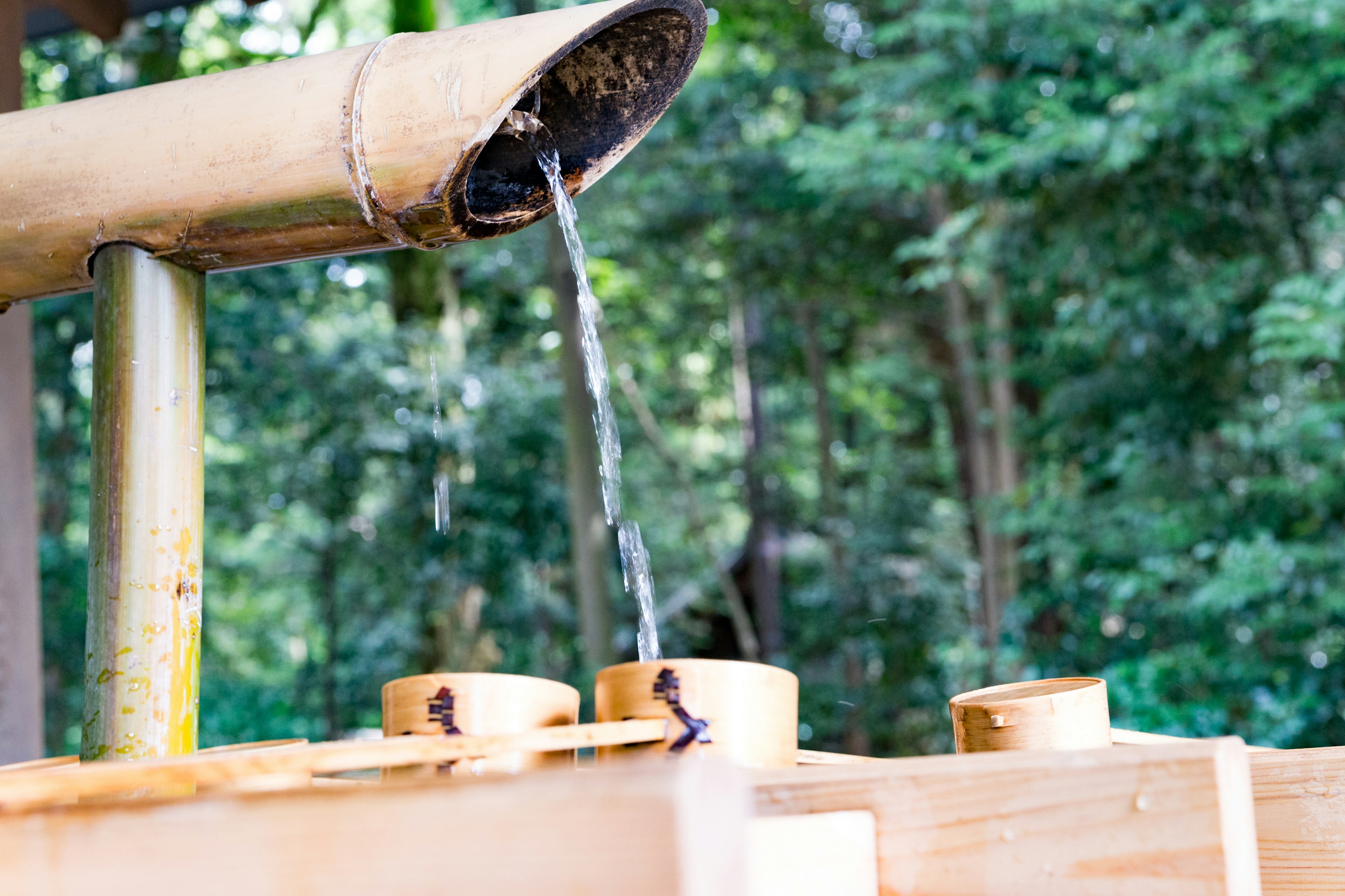 Caractéristique de l'eau en bambou avec de l'eau qui coule entourée de verdure