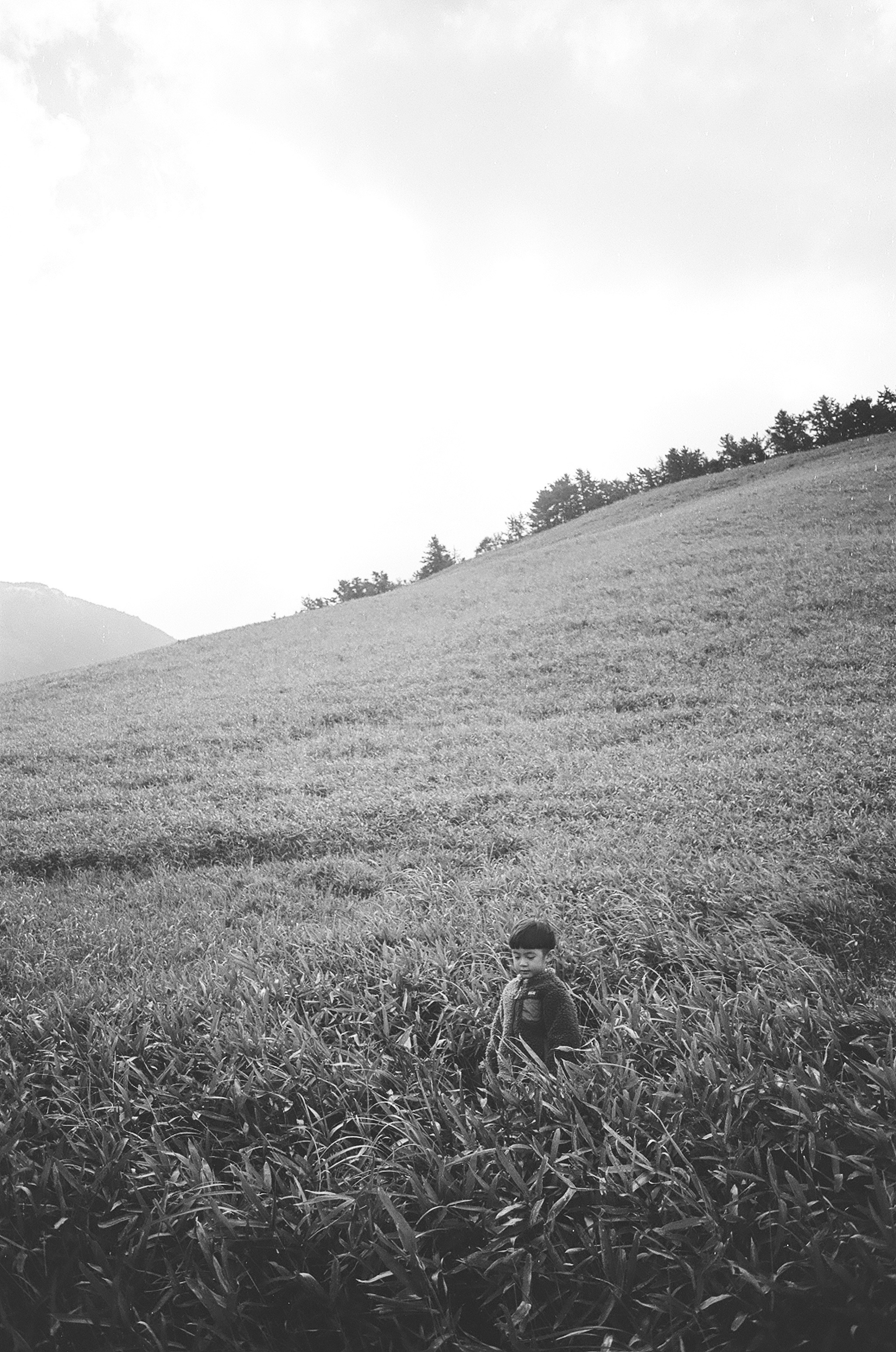 A black and white photo of a boy sitting in a grassy field