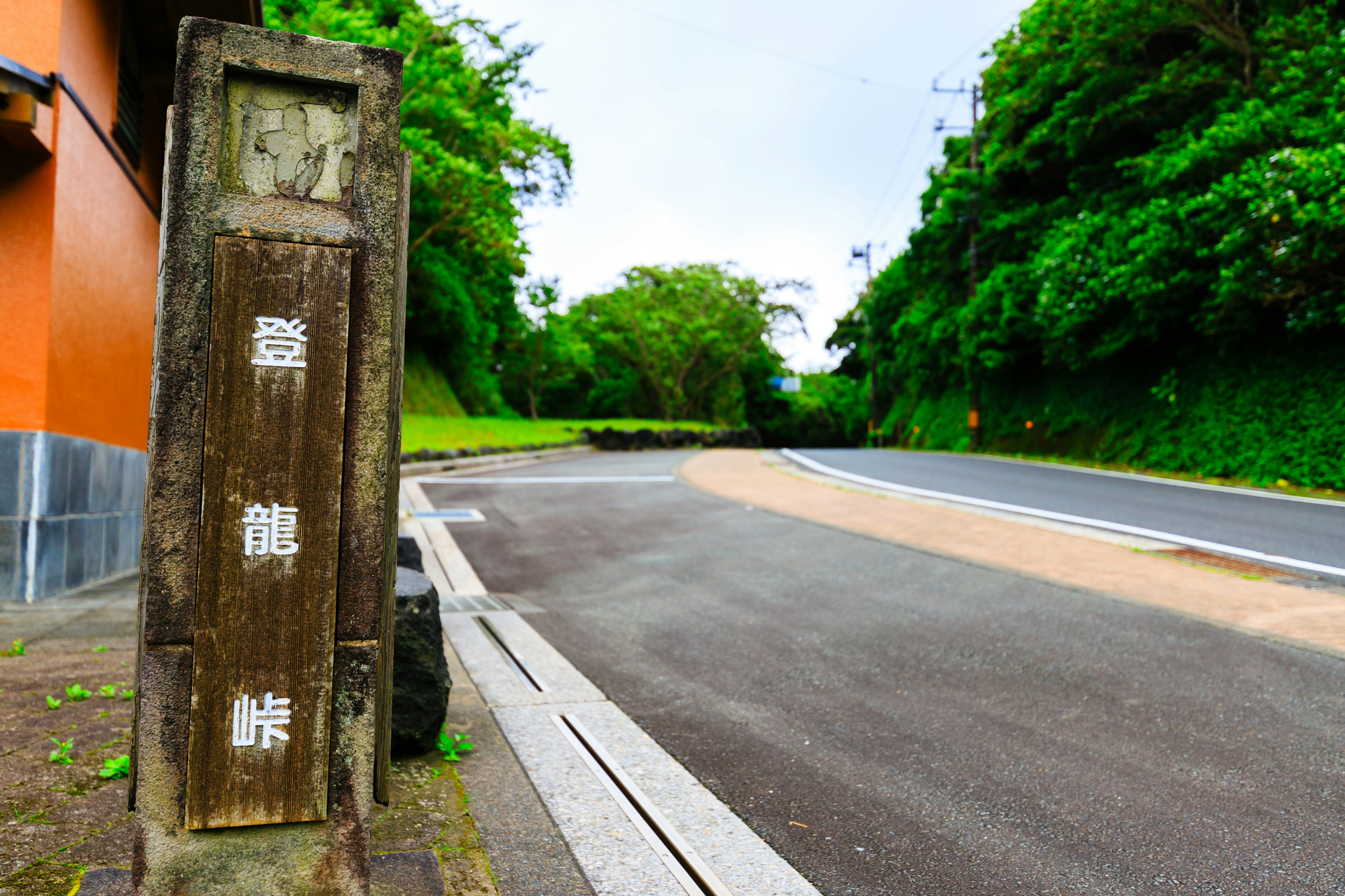 Scenic view of a road with a wooden sign surrounded by greenery