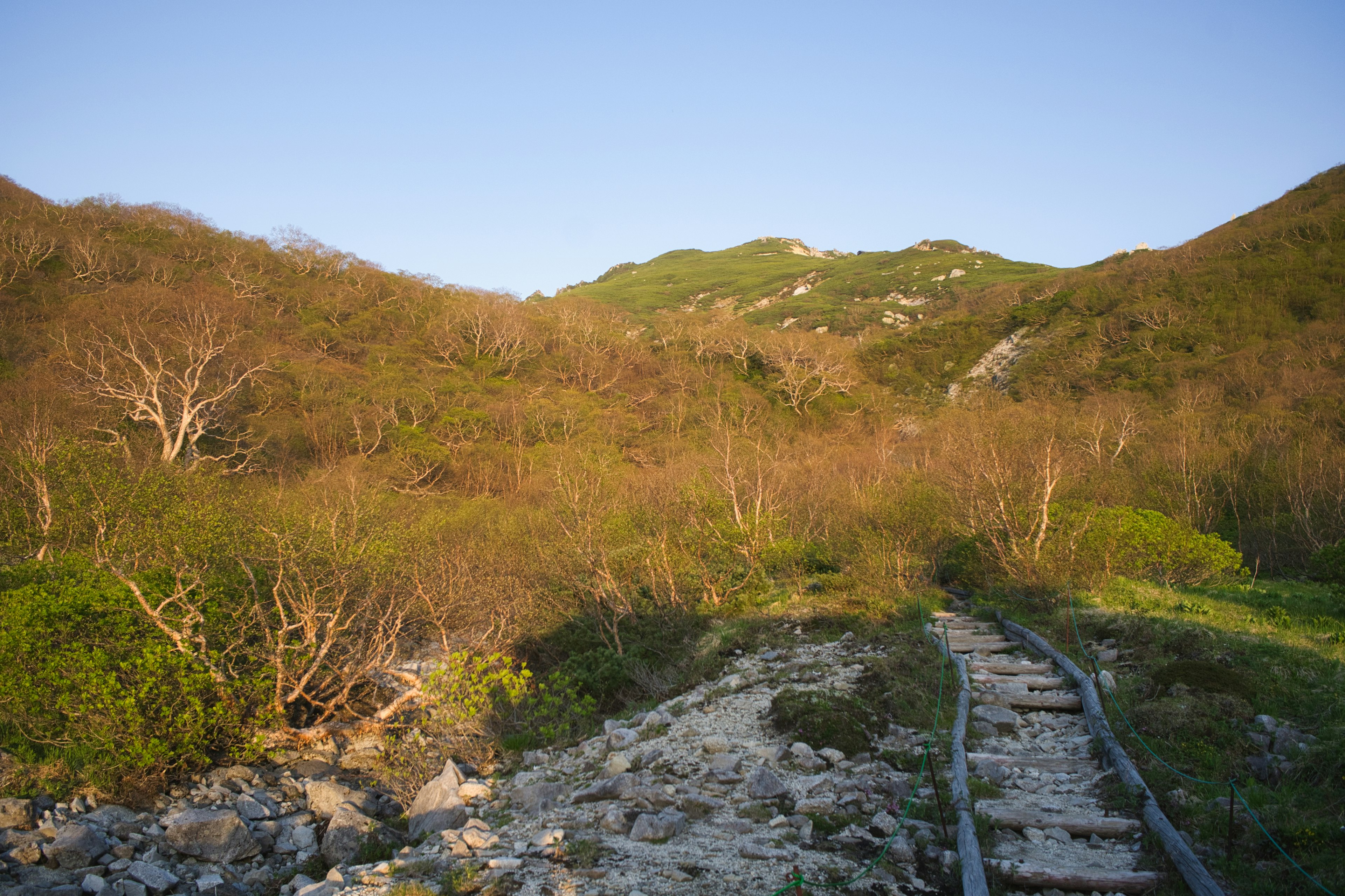 緑の木々と山々の間にある古い鉄道の跡