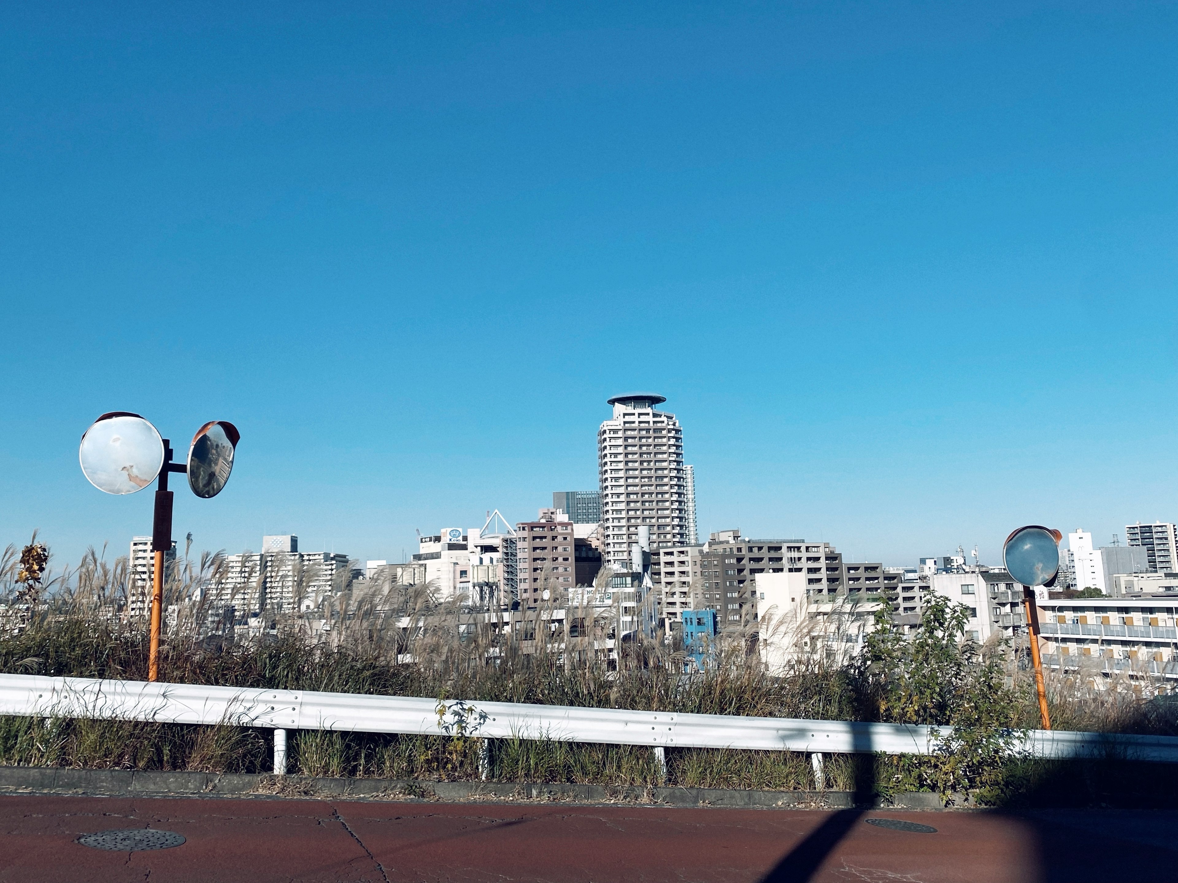 青空の下に広がる都市の風景 高層ビルと緑の植生が見える