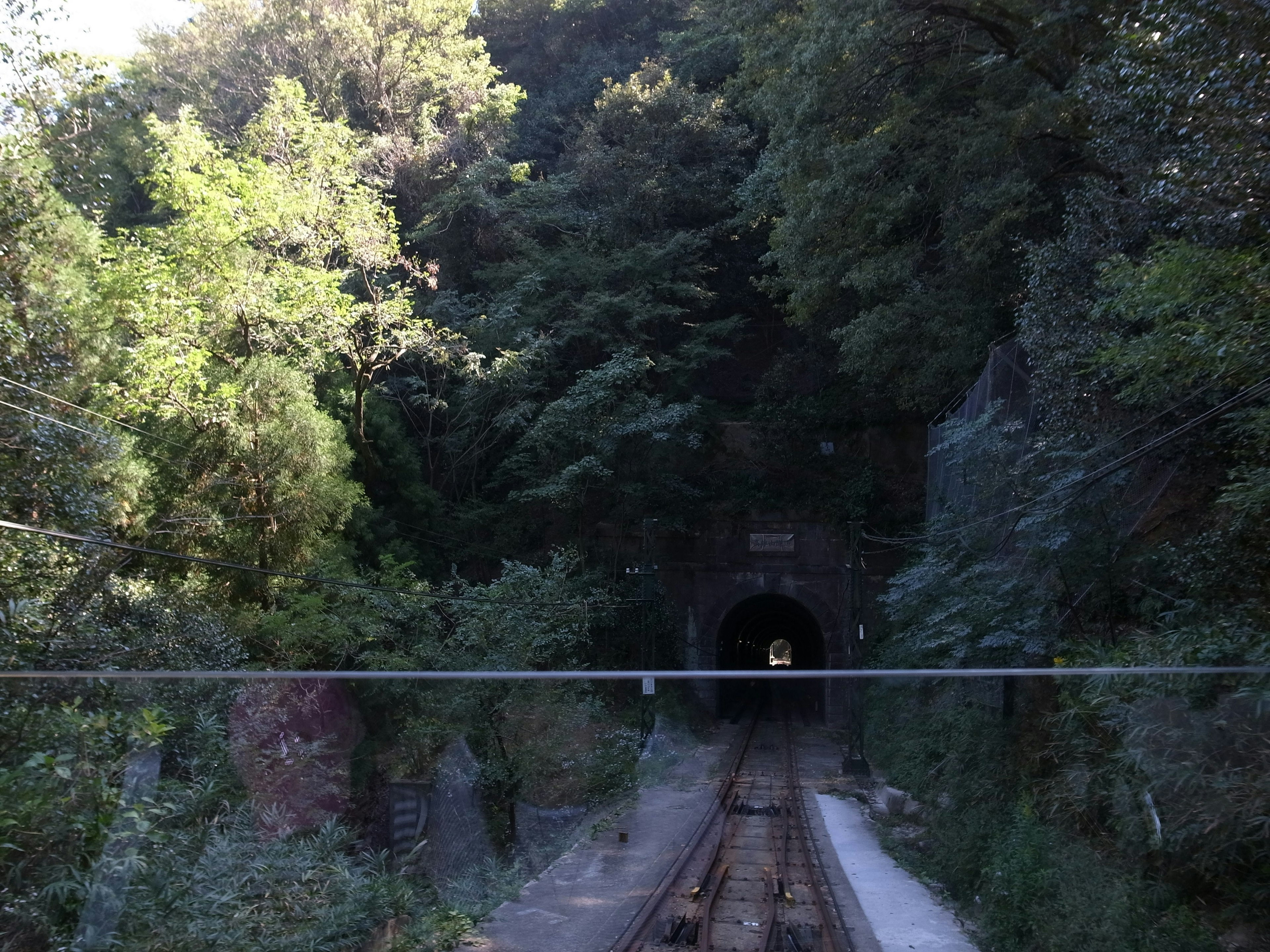 Railroad tunnel entrance surrounded by greenery