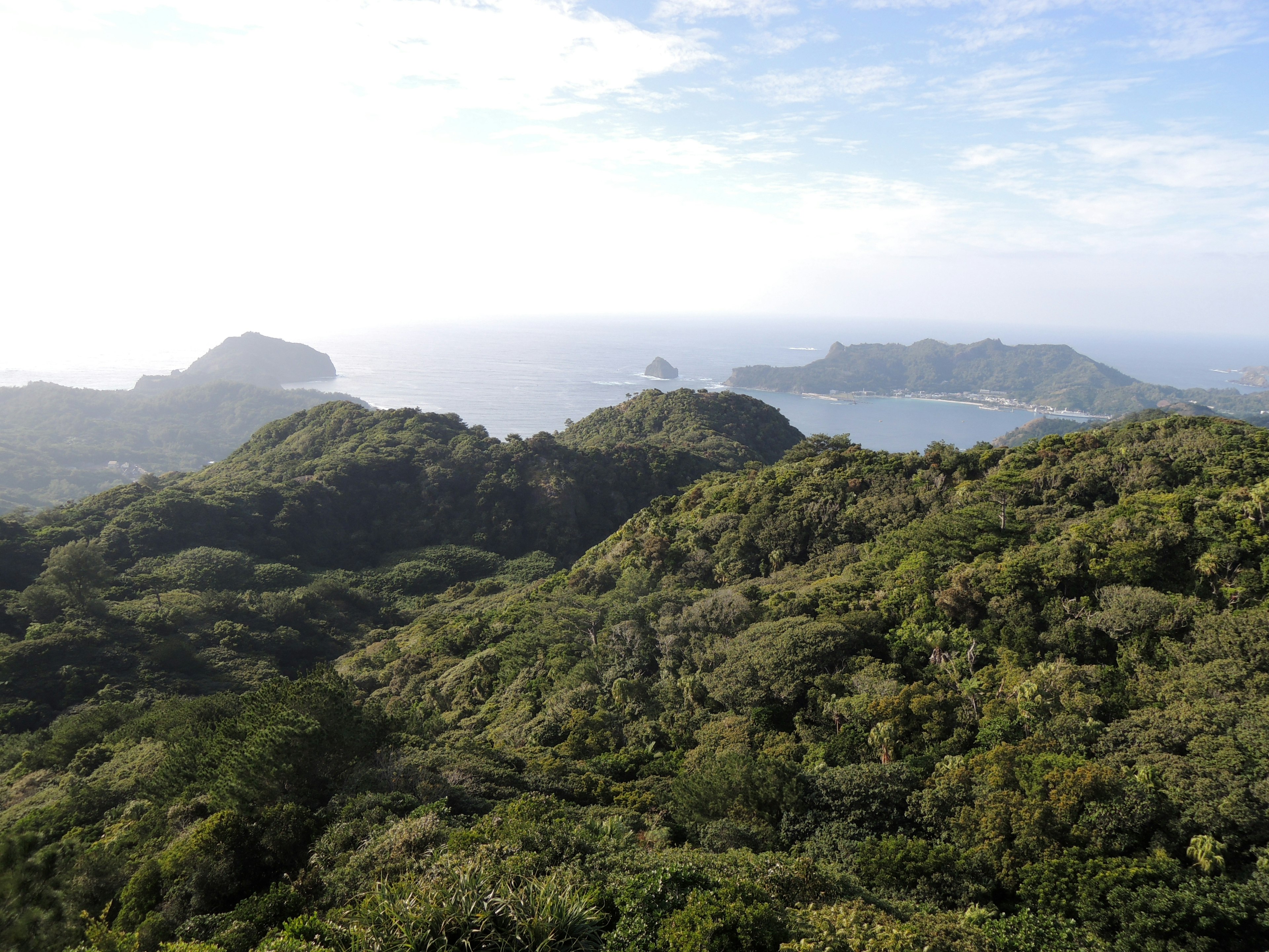 Lush green hills overlooking the ocean