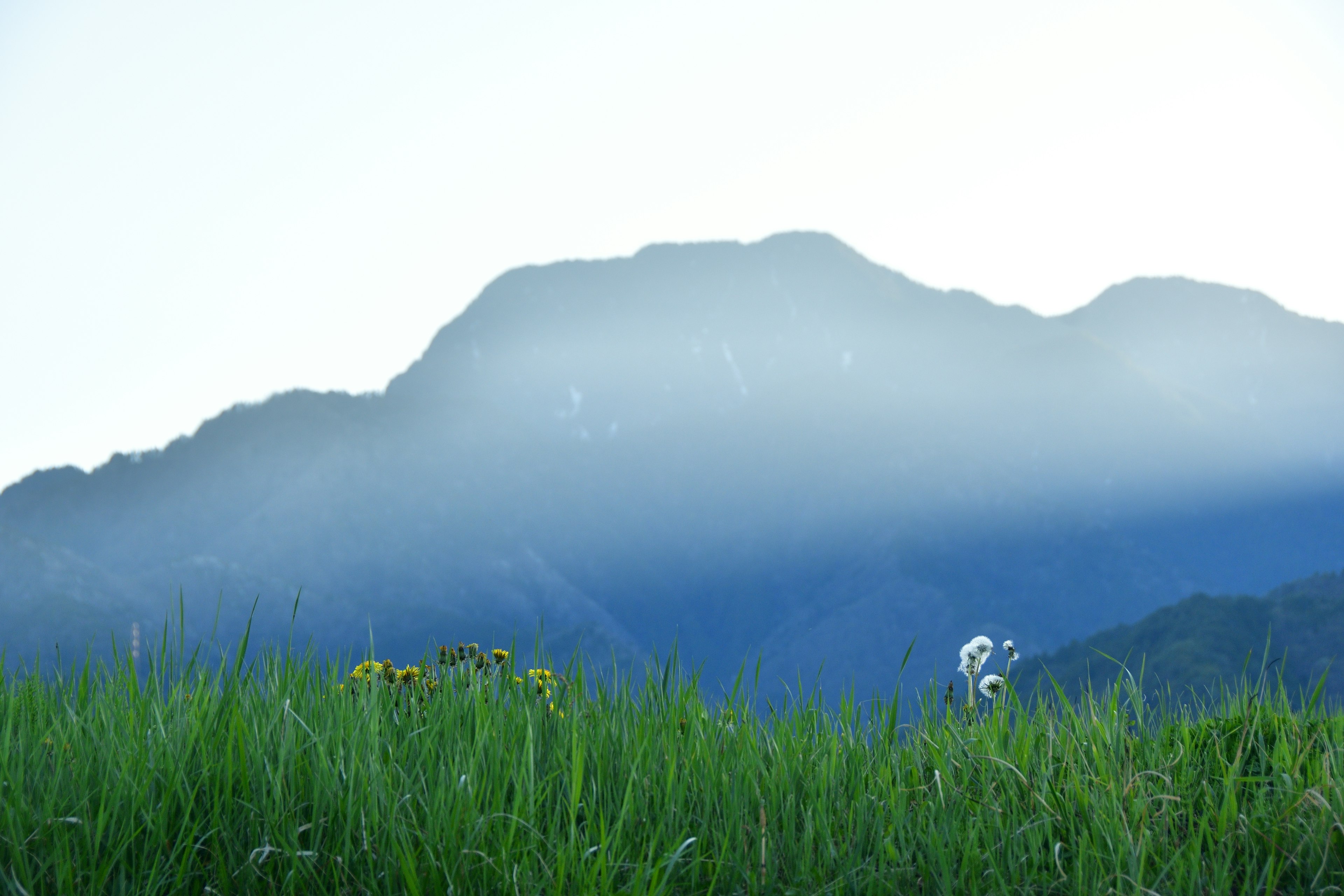 Gunung biru dengan latar rumput