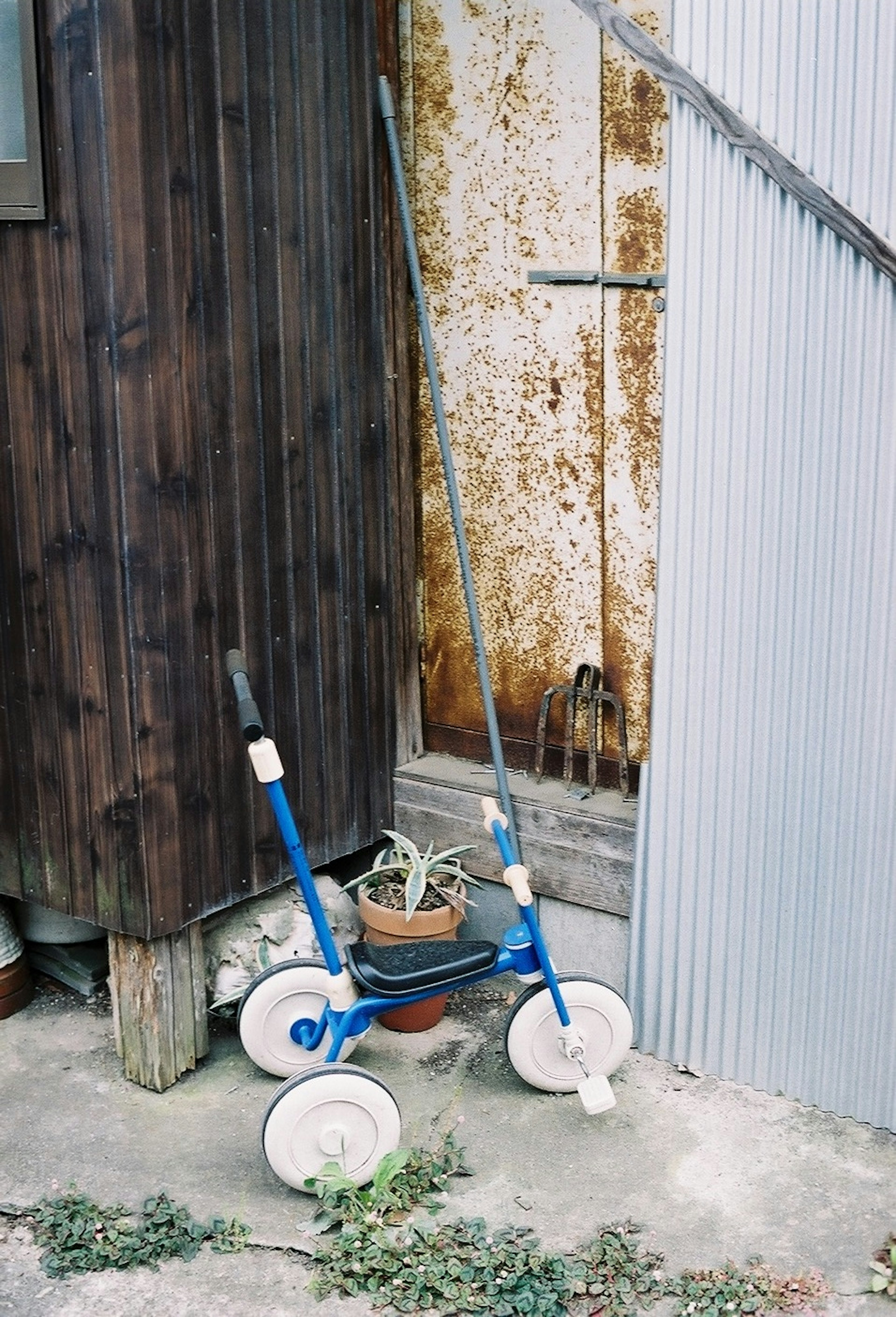 A blue wheeled tool with a long handle positioned next to a wooden shed