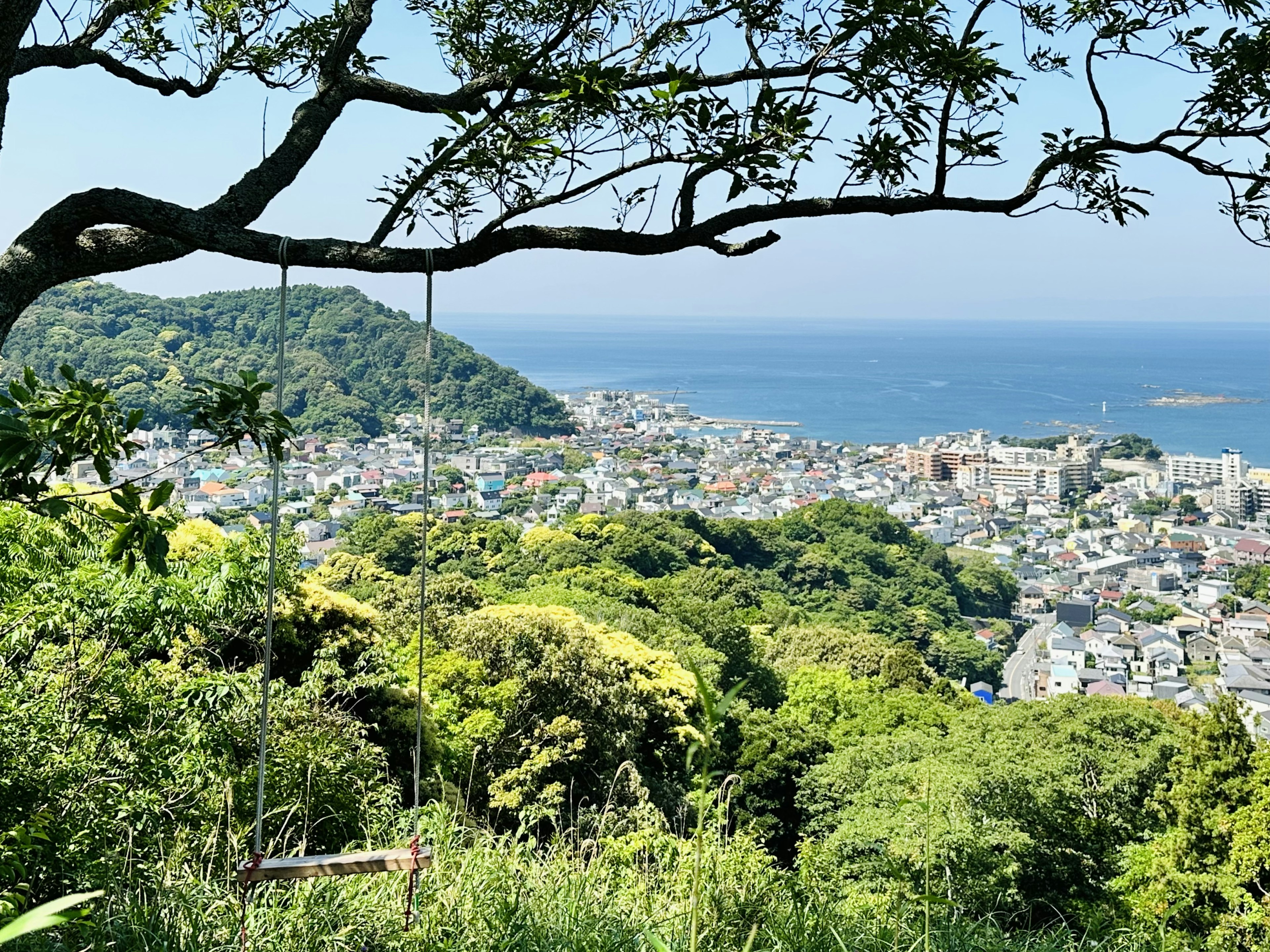 Paysage urbain avec une verdure luxuriante et un océan bleu en arrière-plan