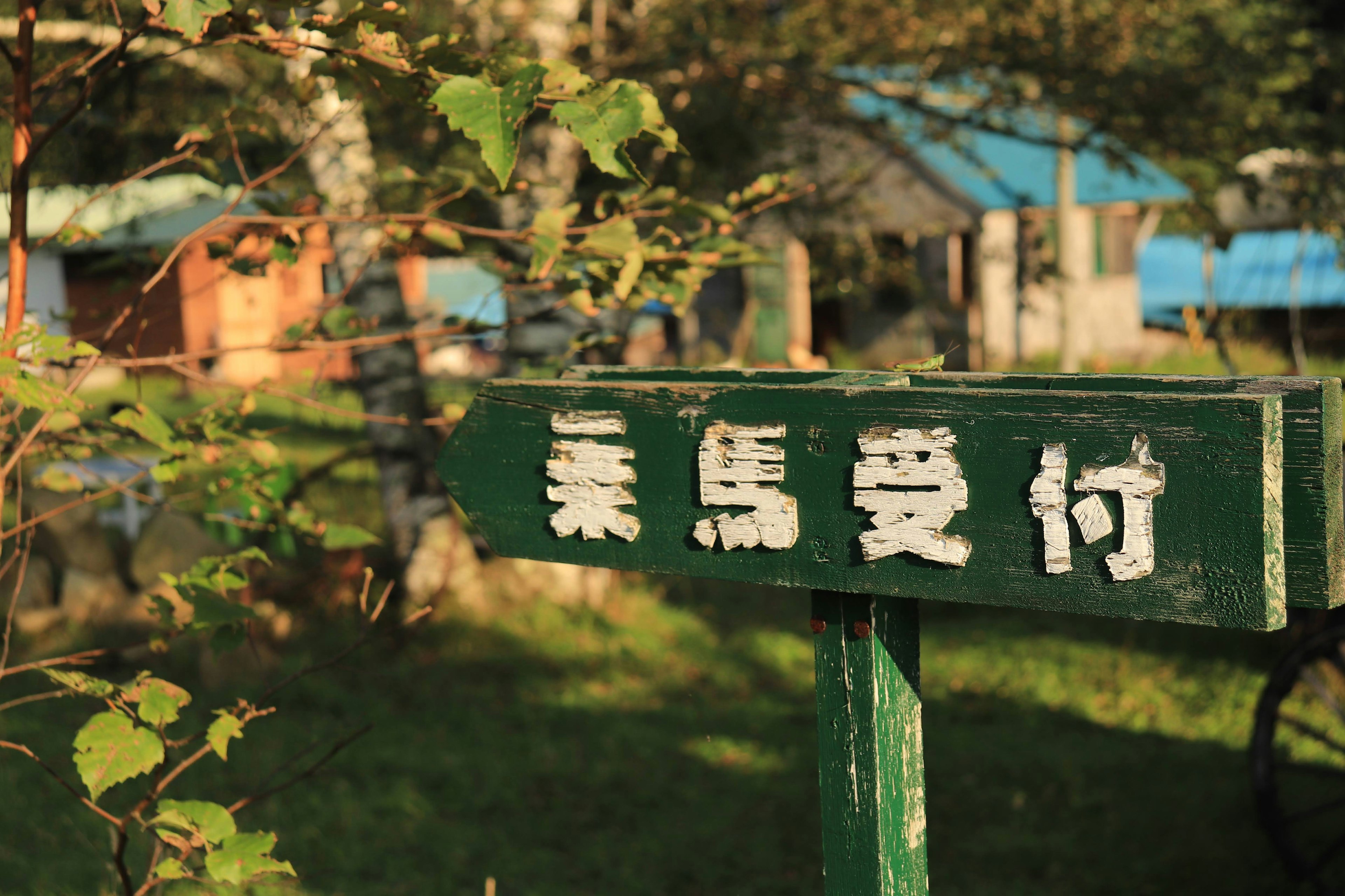 Green sign with white lettering stating 'Horse Reception' in a grassy area