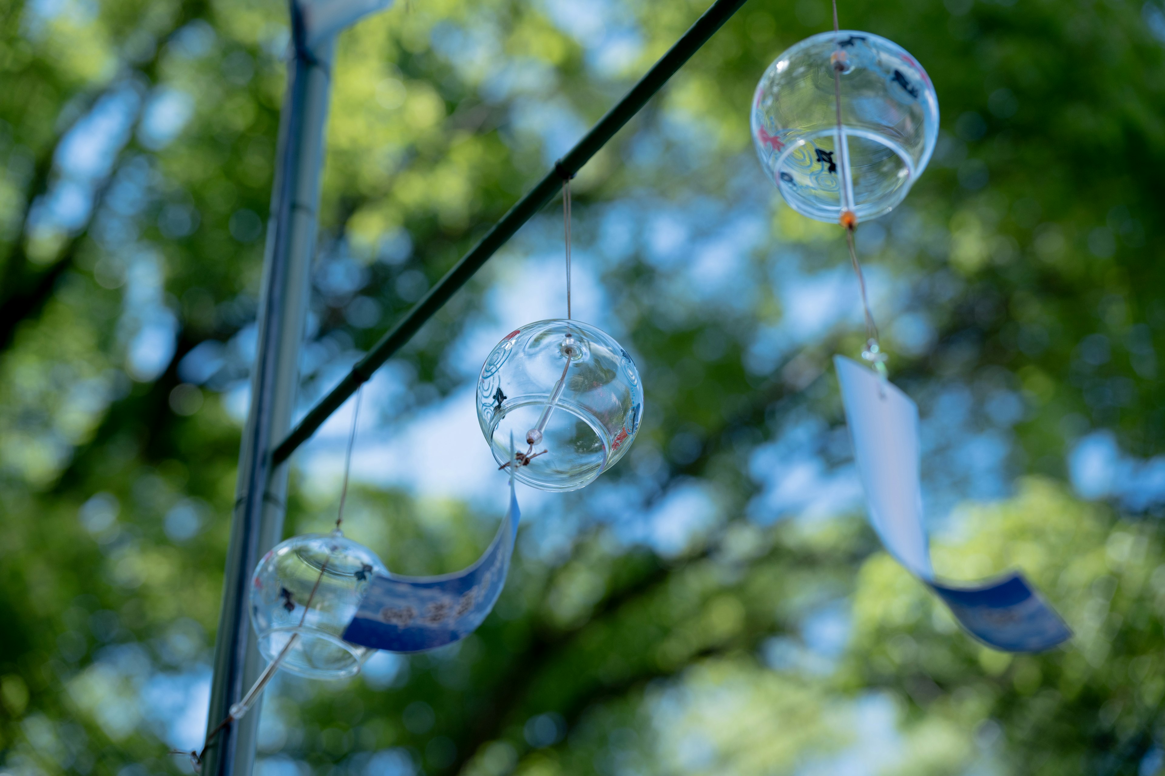 Transparente Windspiele schwingen vor einem grünen Baumhintergrund