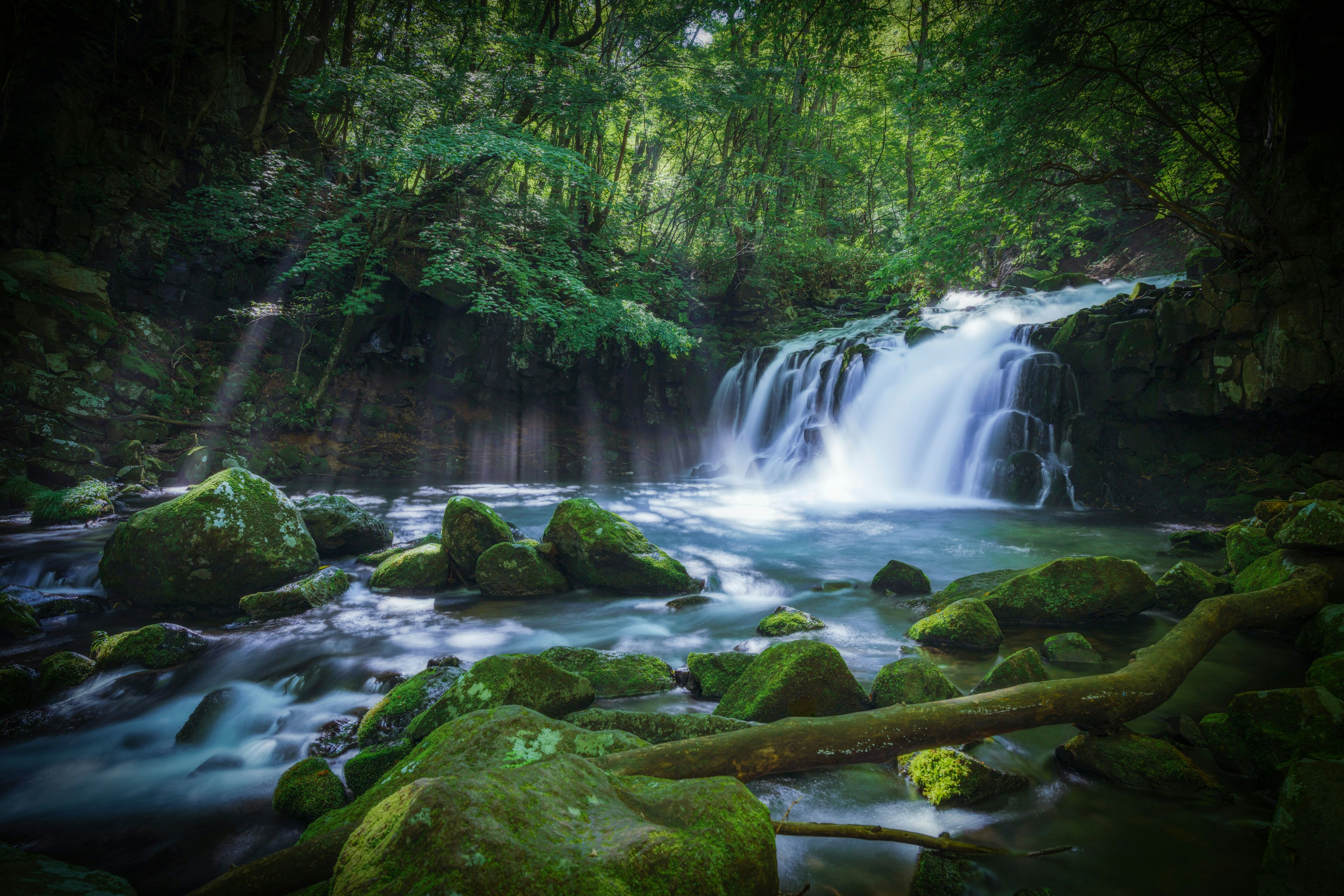 郁郁葱葱的森林中瀑布的风景，流动的水和覆盖苔藓的岩石