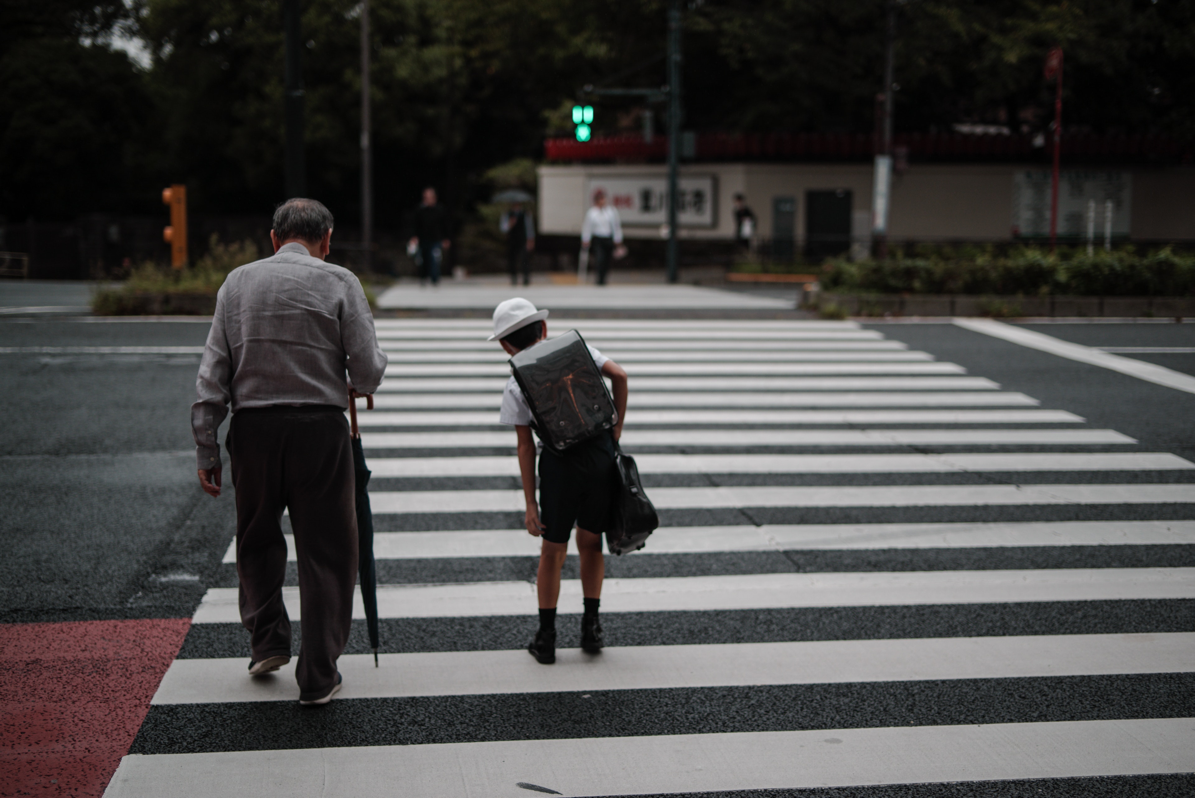 Elderly man and child walking on a crosswalk in a city scene