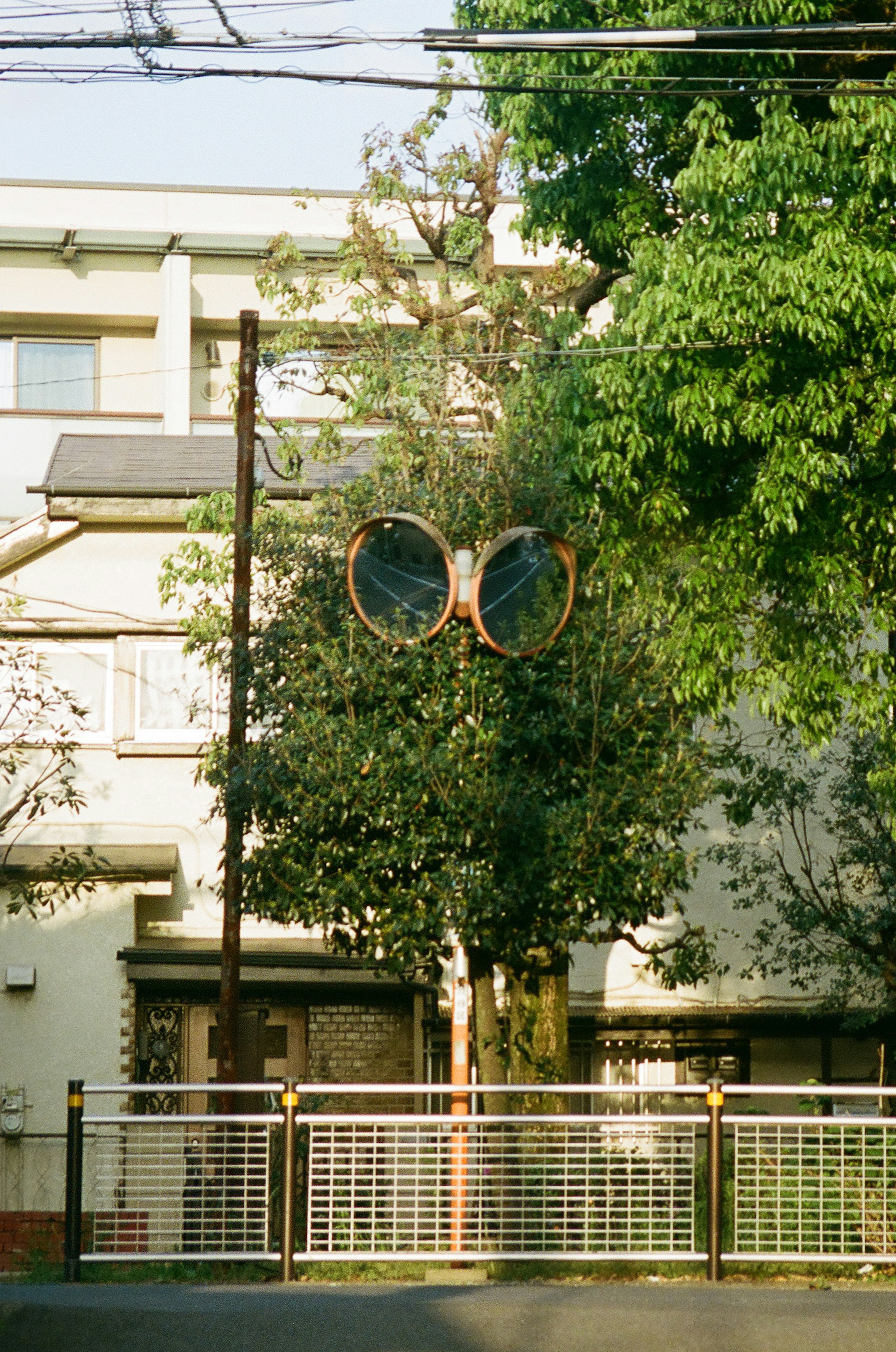 Un grande occhiale da sole appeso tra gli alberi in un contesto urbano