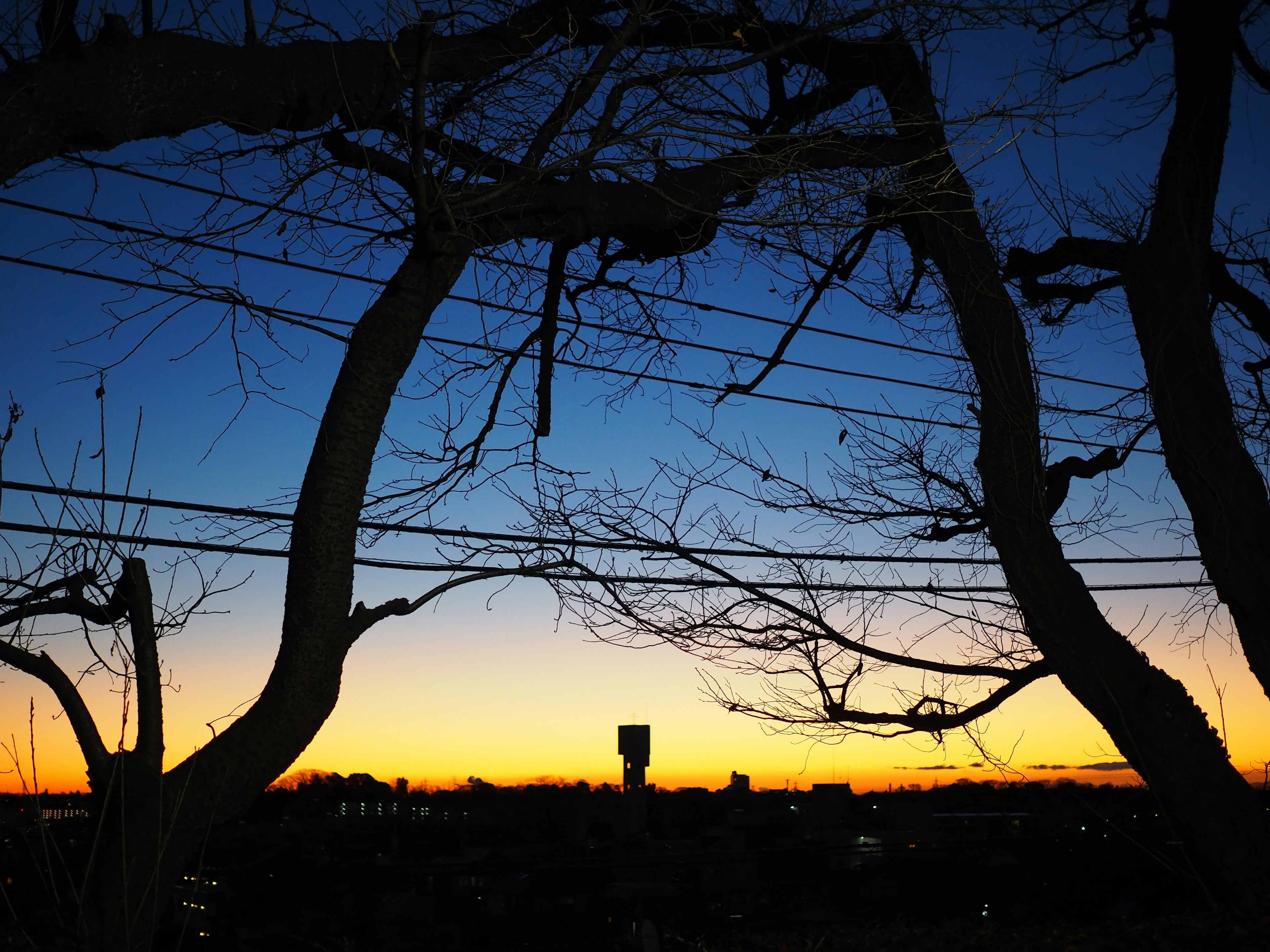 Beautiful sunset with silhouetted trees