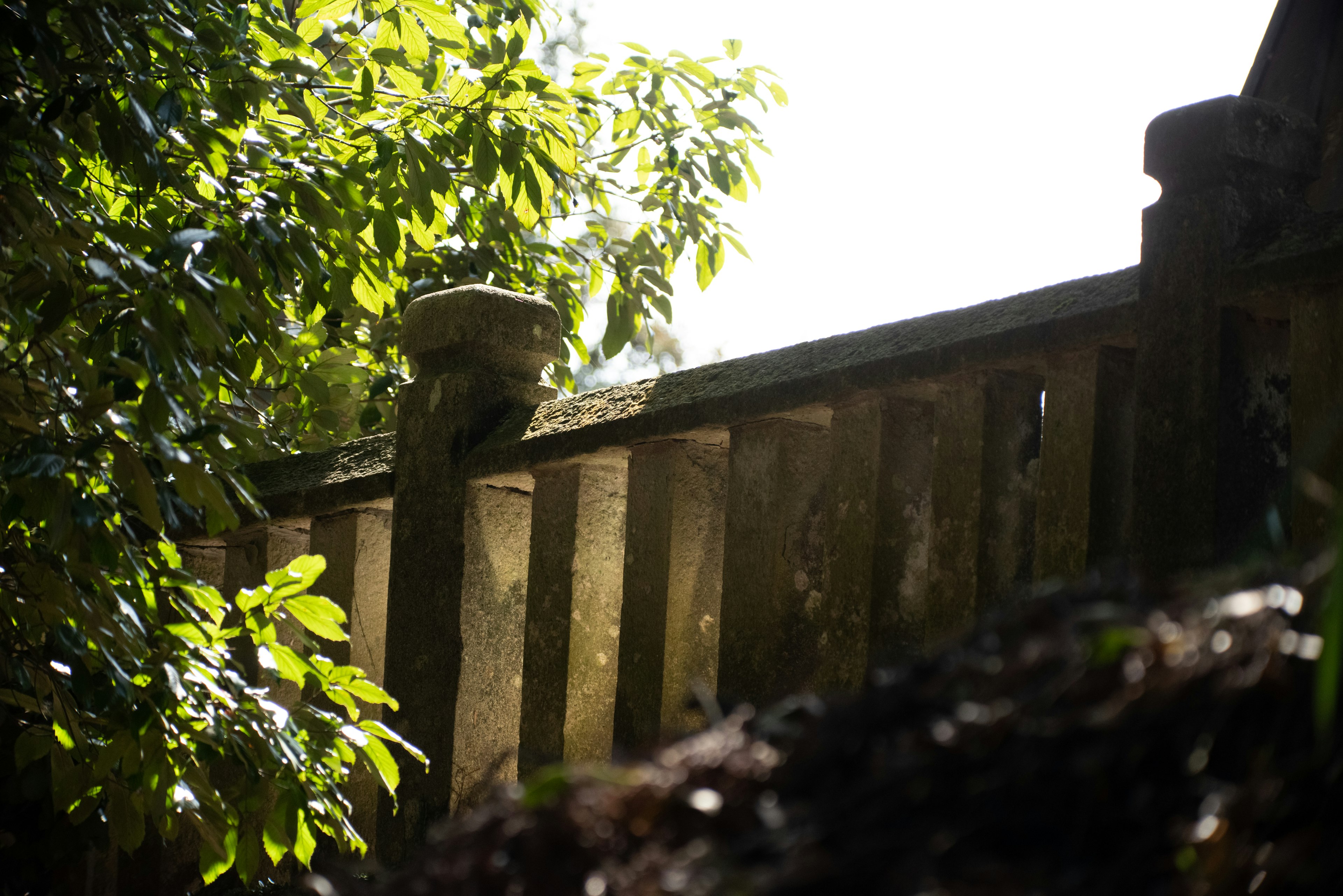 Partie d'une ancienne clôture en pierre entourée de feuilles vertes avec la lumière du soleil