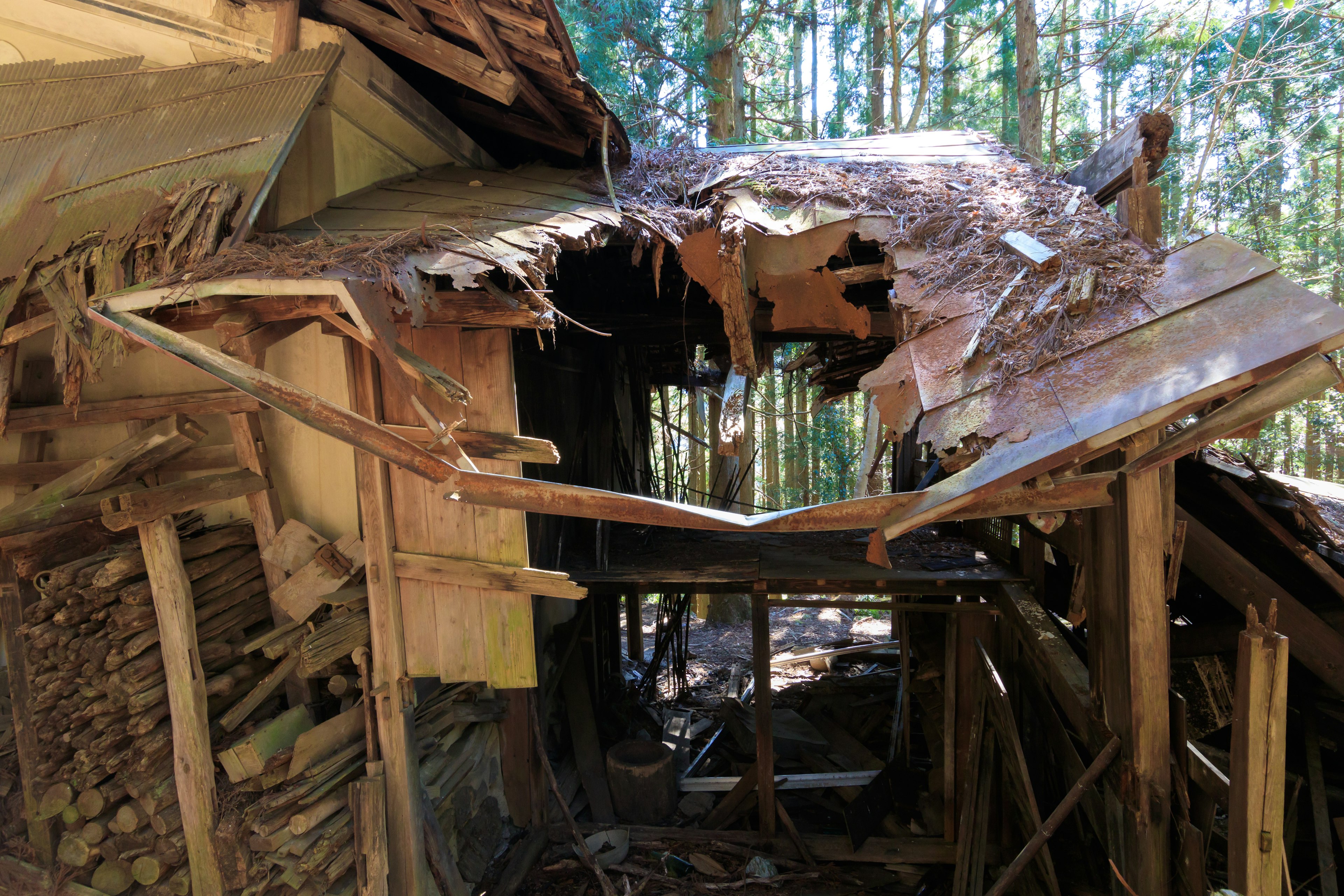 Interior of a dilapidated cabin with a damaged roof and surrounding trees