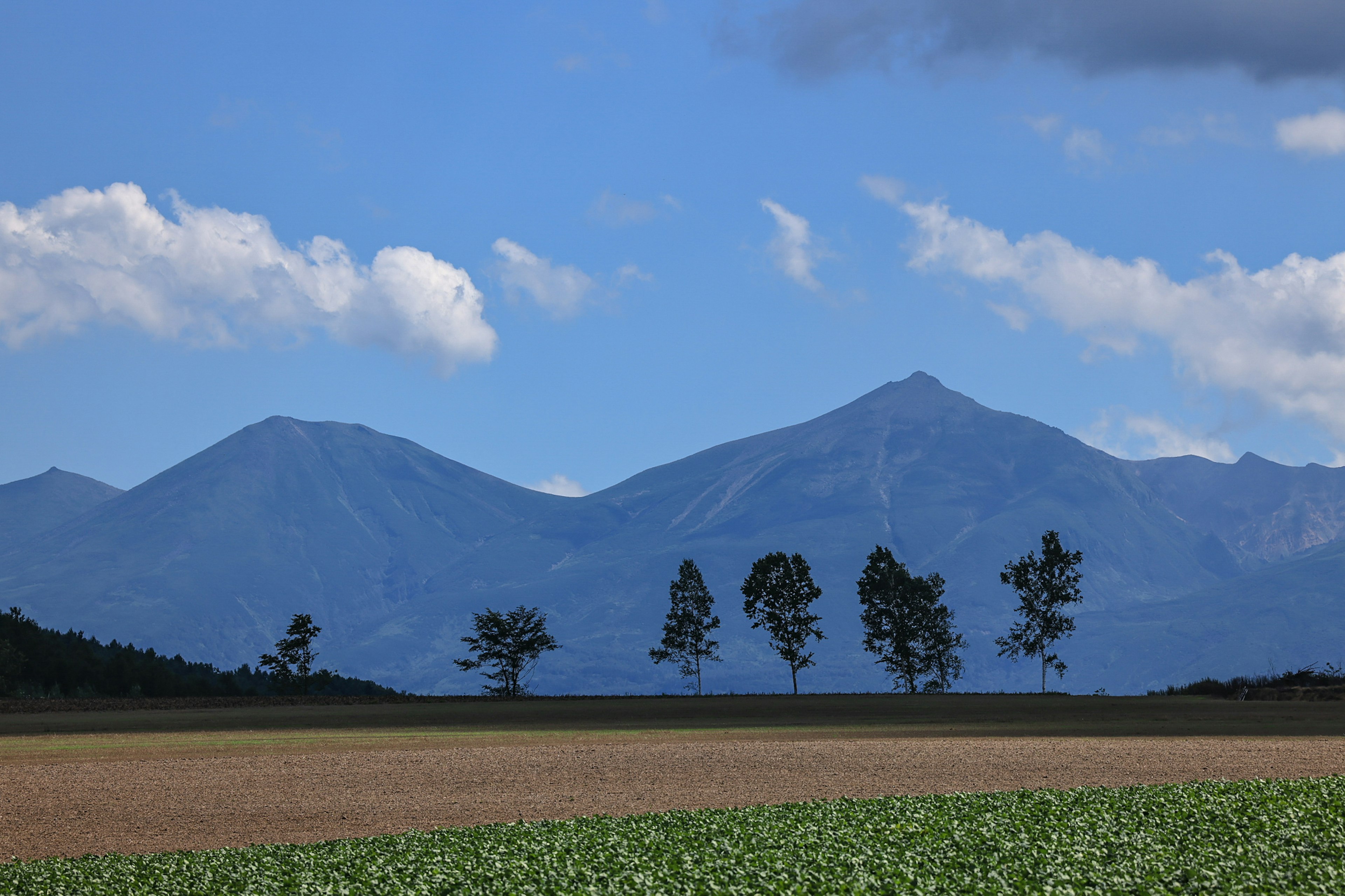 青い空と白い雲の下に広がる山々と木々の美しい風景