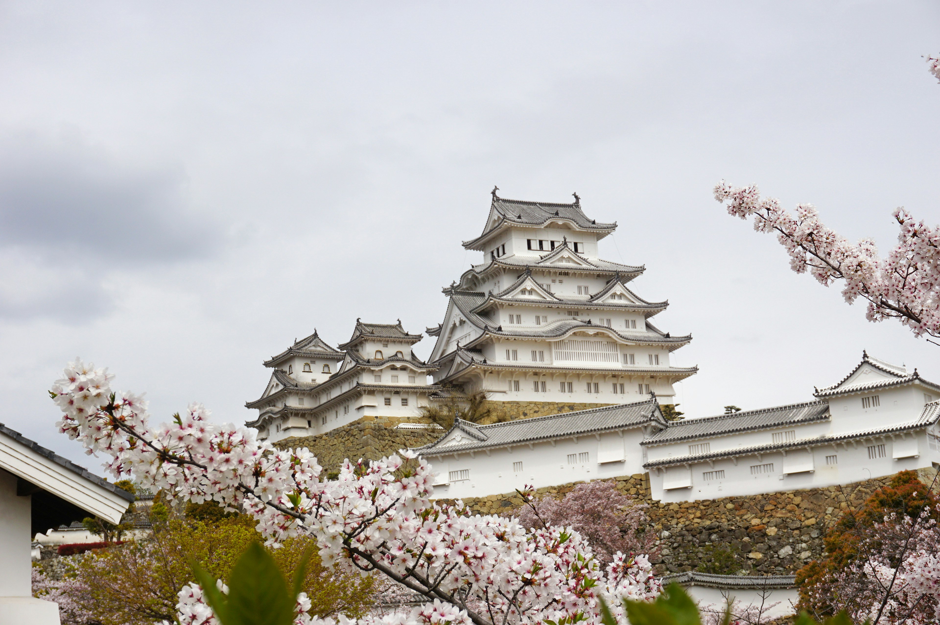 Pemandangan indah Kastil Himeji dengan bunga sakura