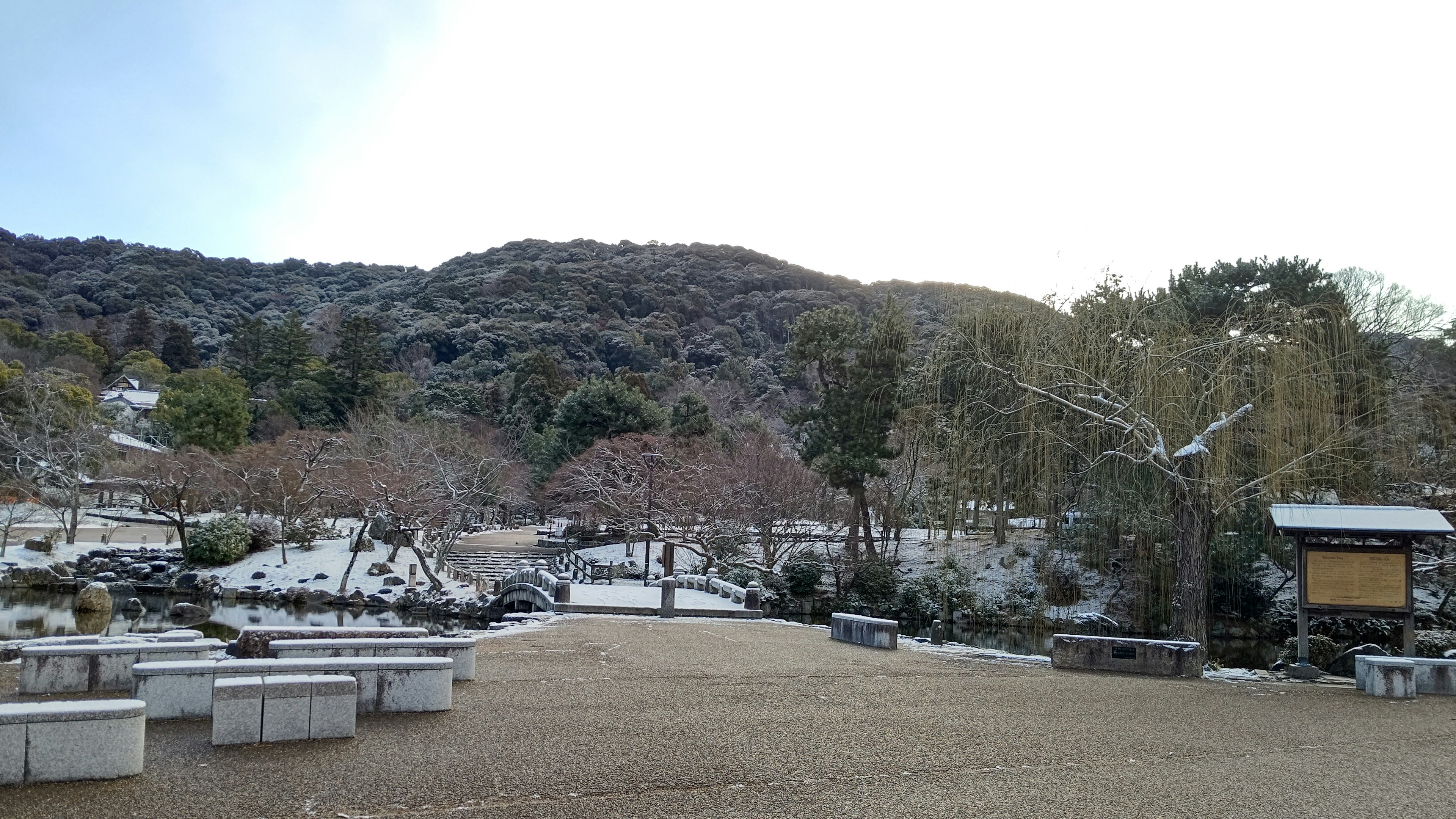 Quiet park scene with snow-covered trees and mountains in the background