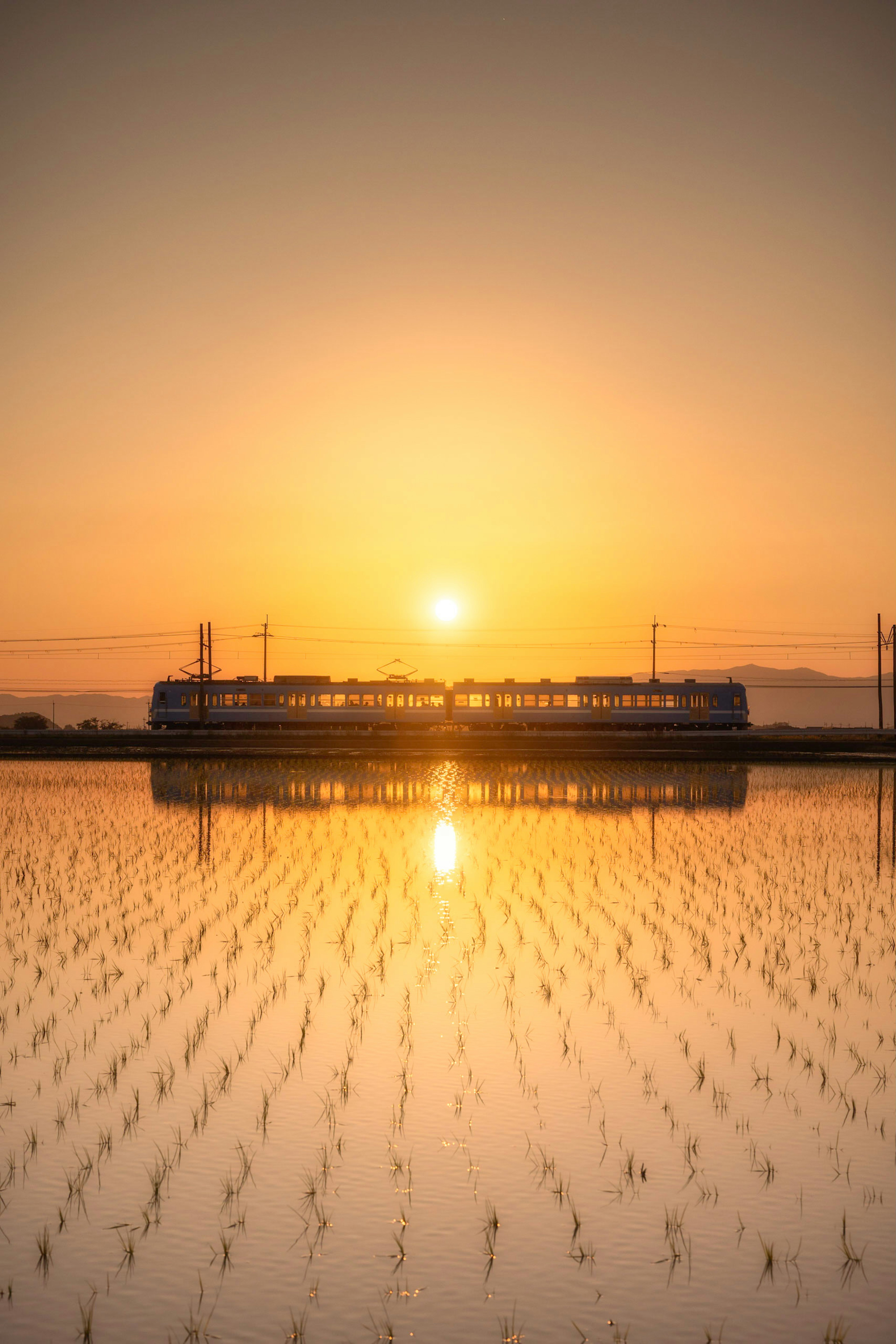 Silhouette di un treno riflessa nei campi di riso al tramonto