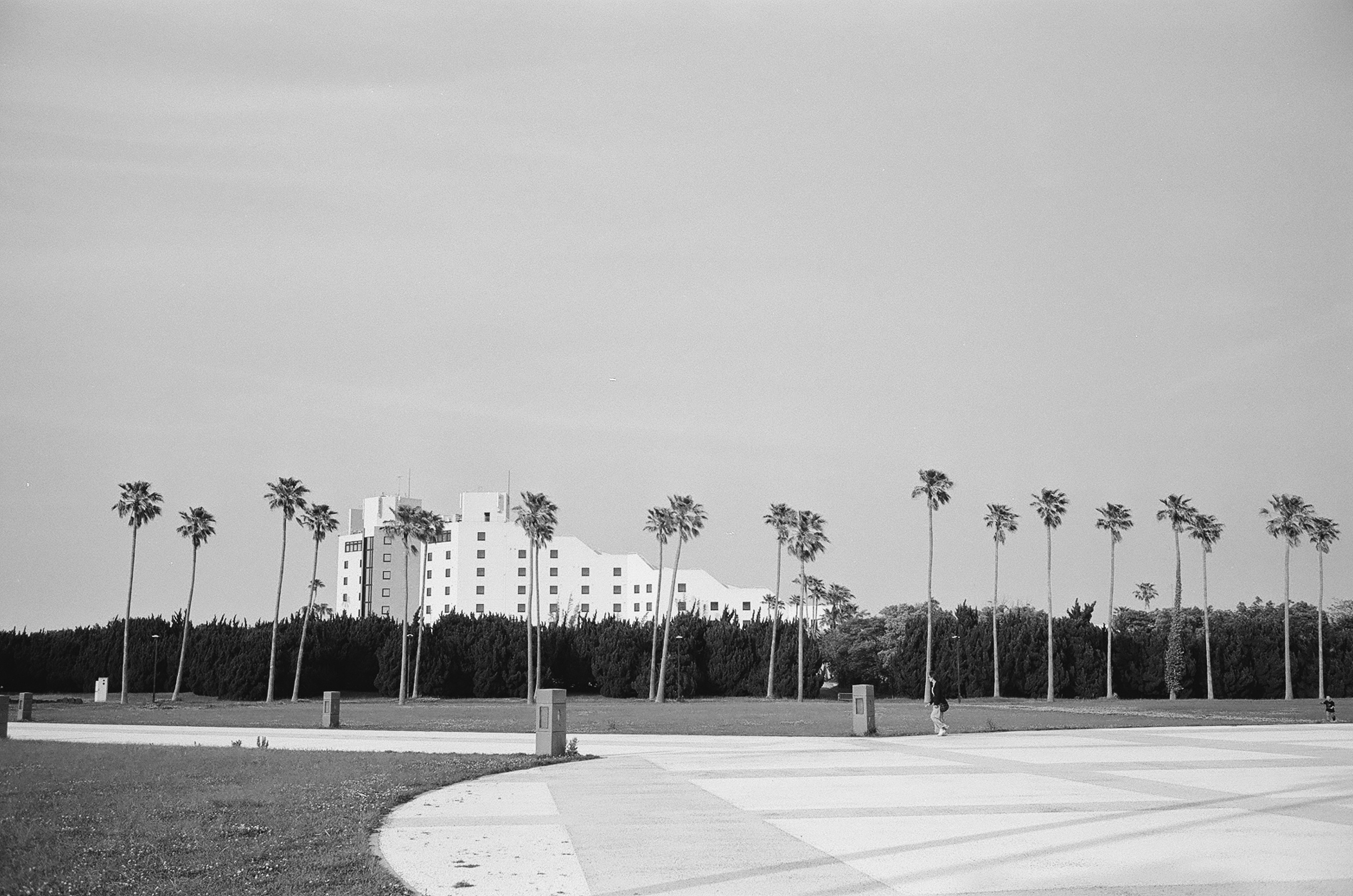 Schwarzweißlandschaft mit Palmen und einem Gebäude im Hintergrund