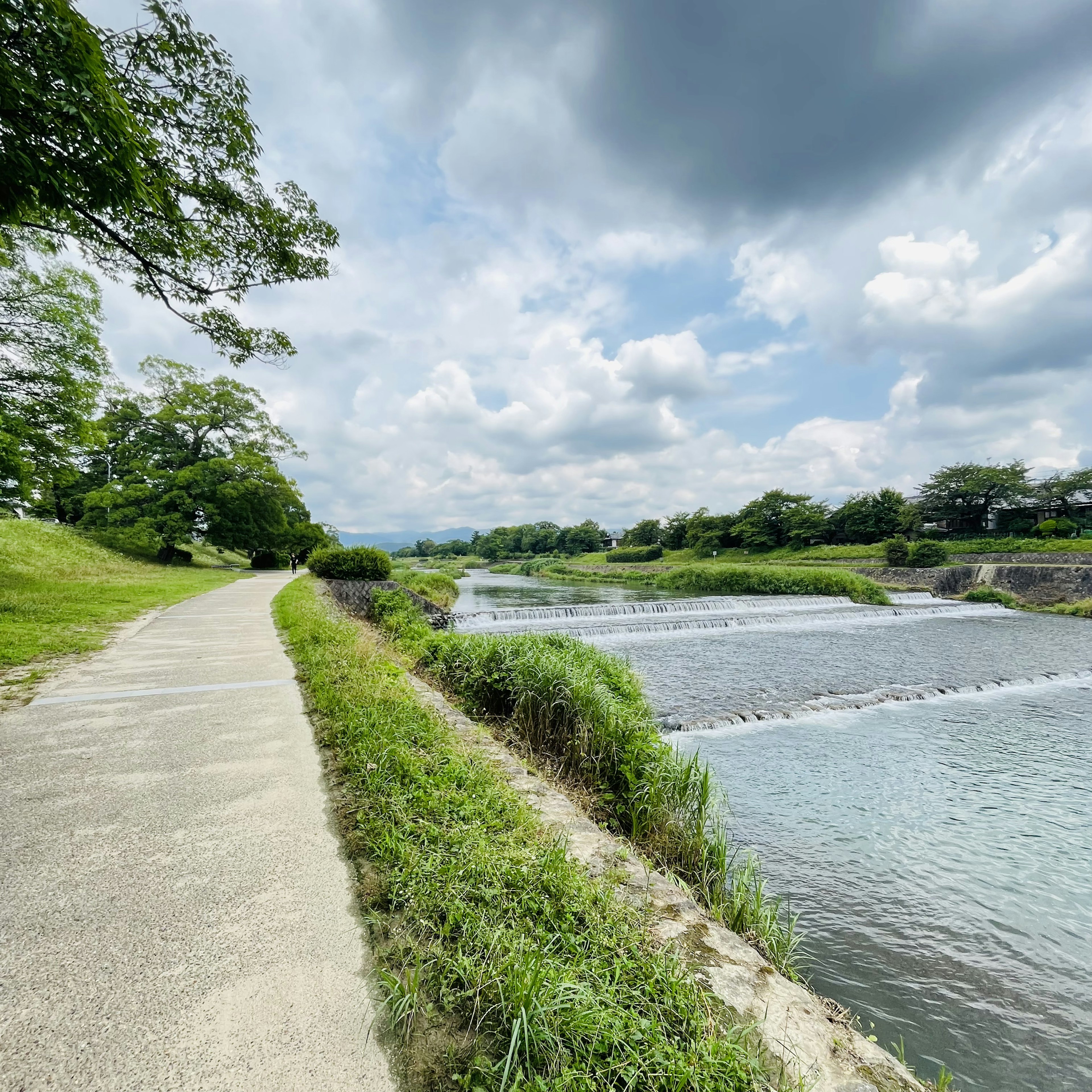 Vista panoramica di un fiume con vegetazione lussureggiante e cielo nuvoloso