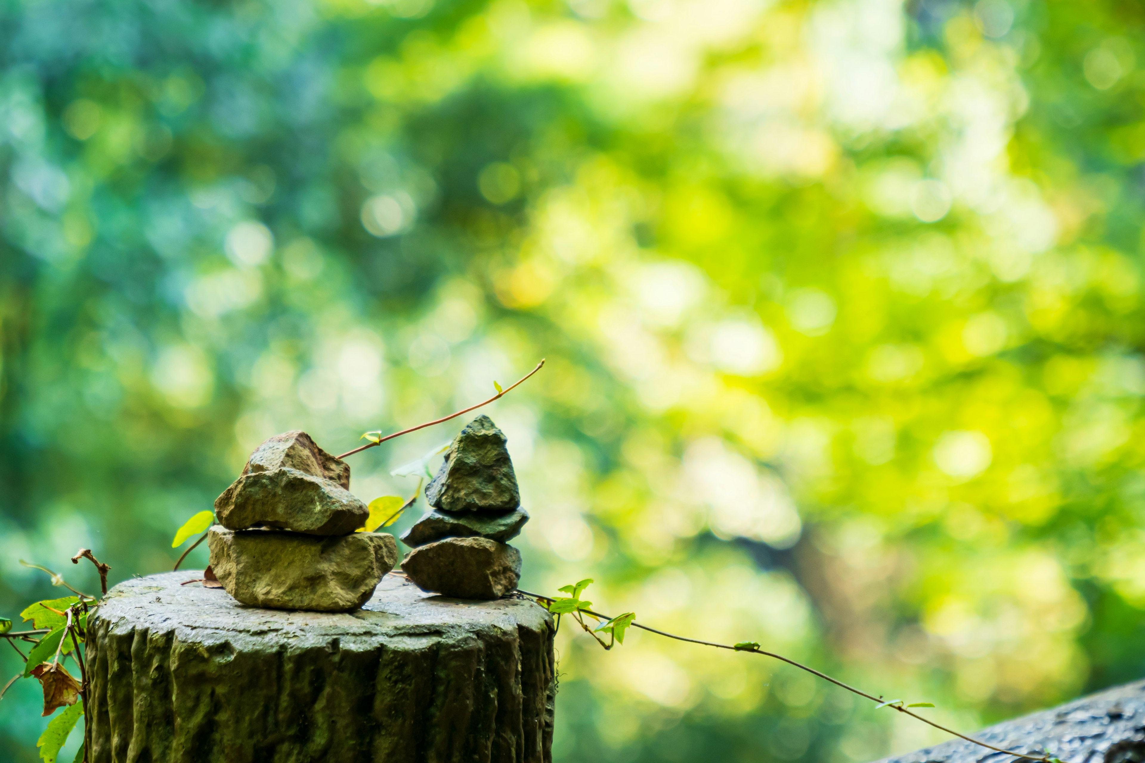 Art de pierre empilé sur une souche d'arbre avec un arrière-plan vert flou