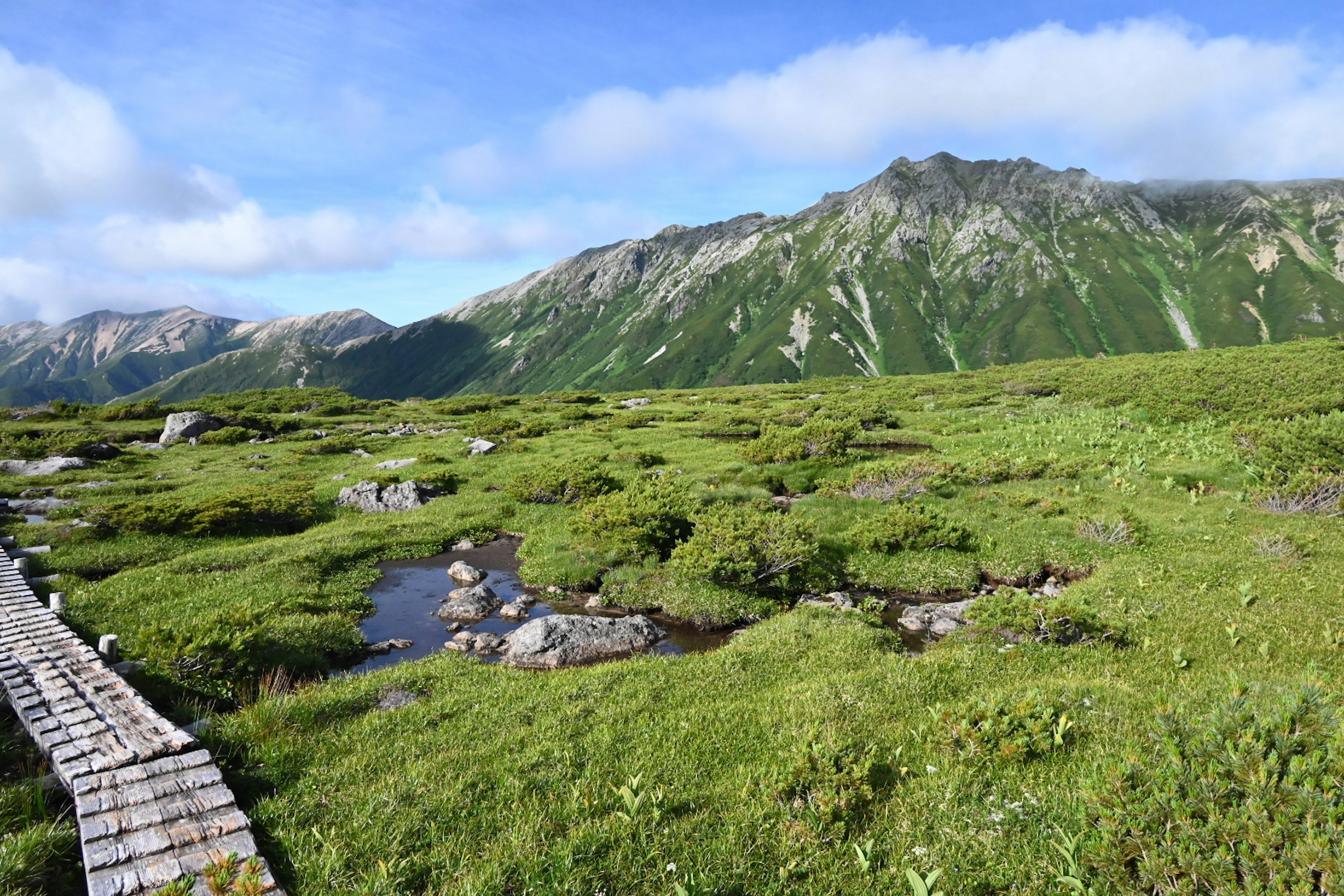 Prato verde lussureggiante con montagne sullo sfondo che presenta un sentiero in legno e un ruscello