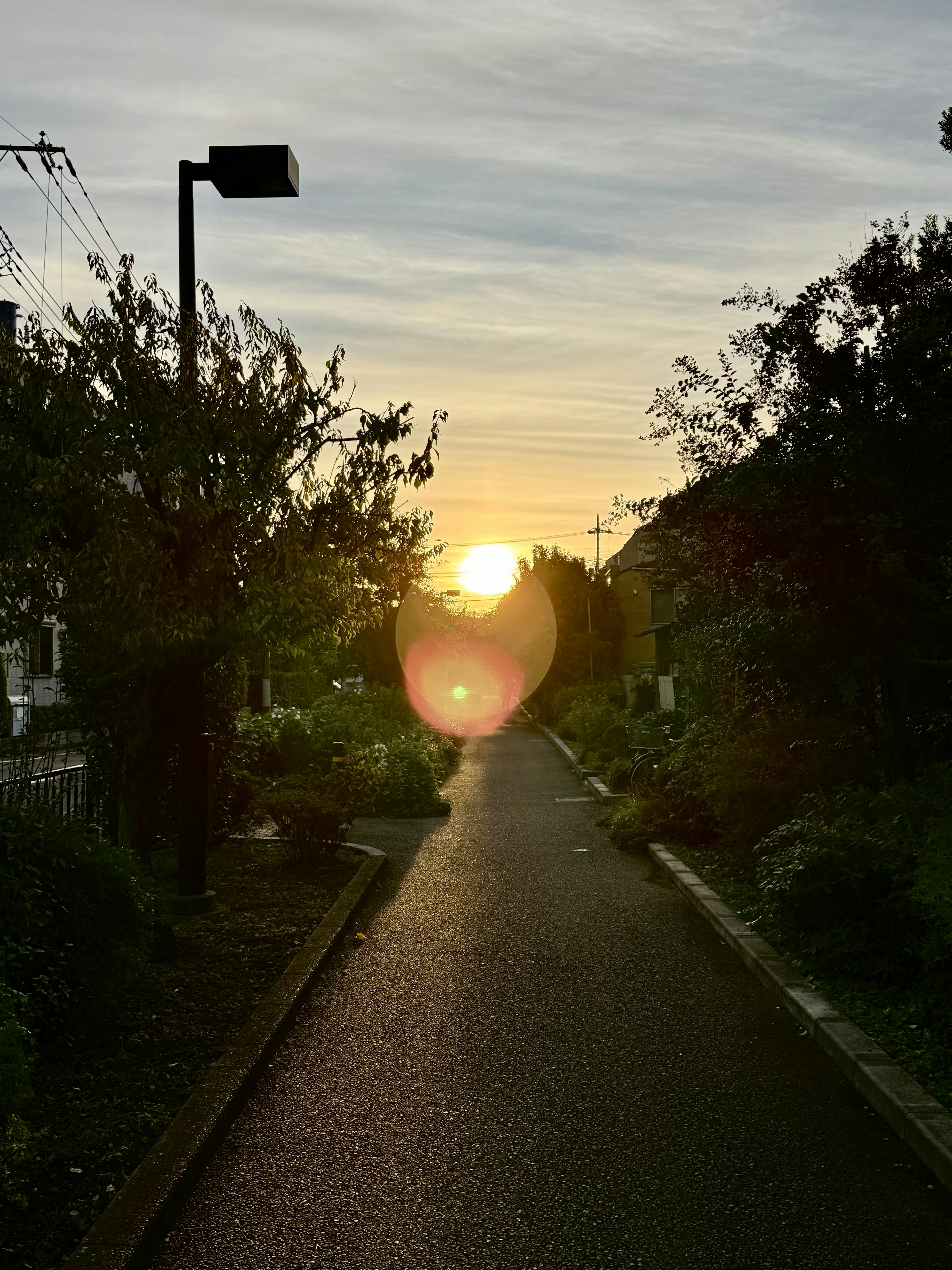 夕日が見える静かな小道の風景