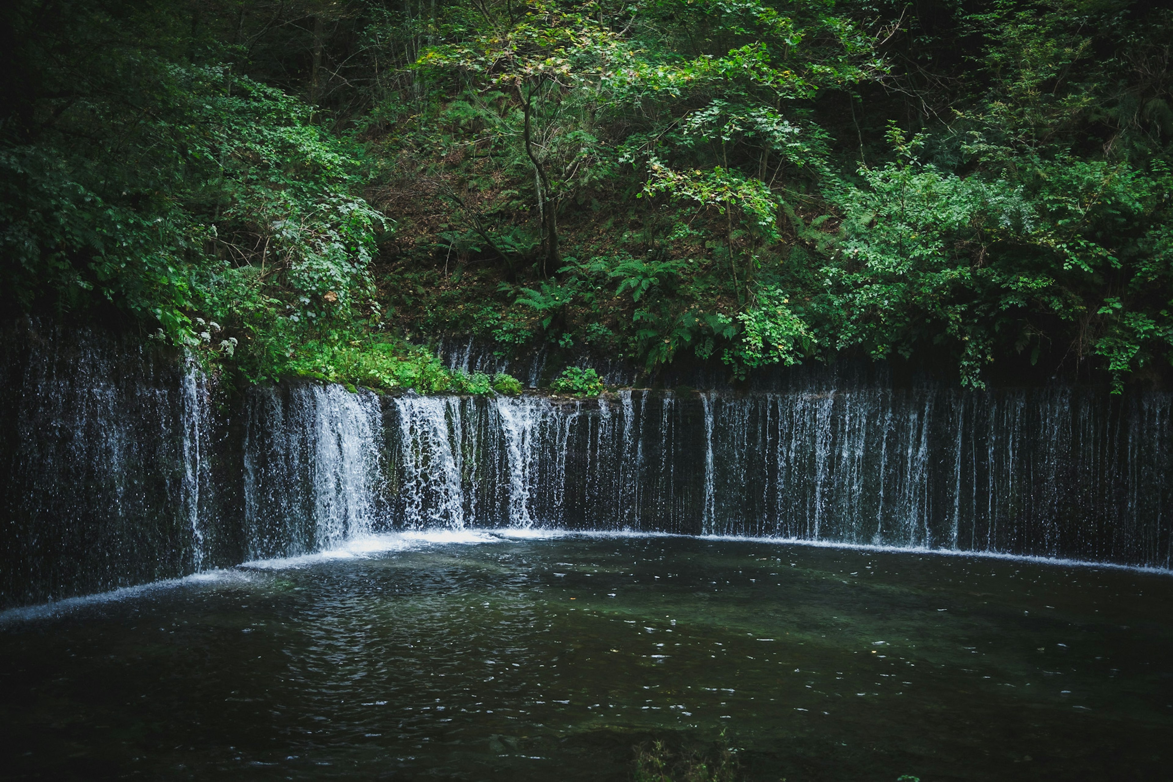 A serene waterfall cascading into a dark pond surrounded by lush greenery