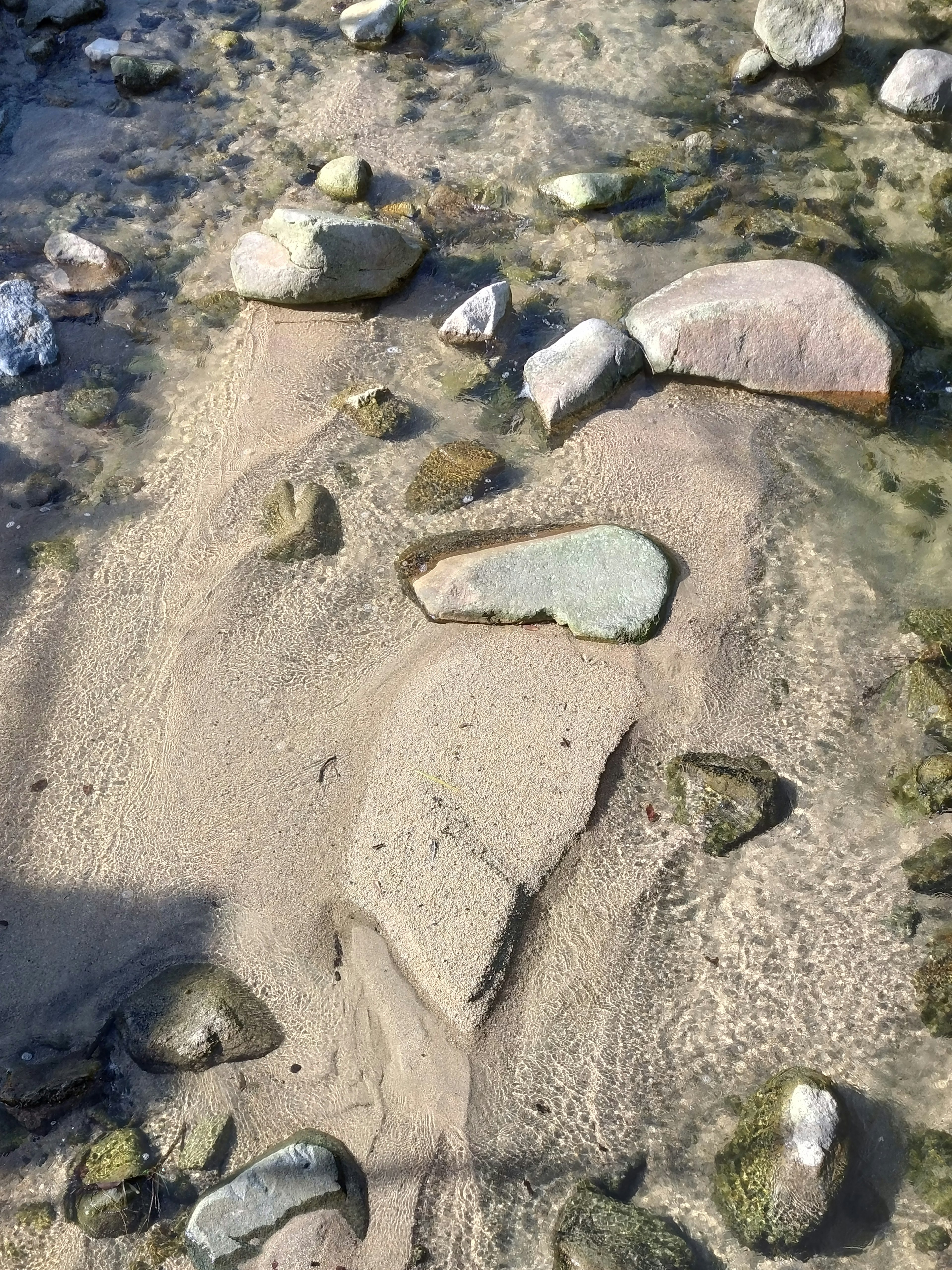 A riverside scene with alternating sand and rocks