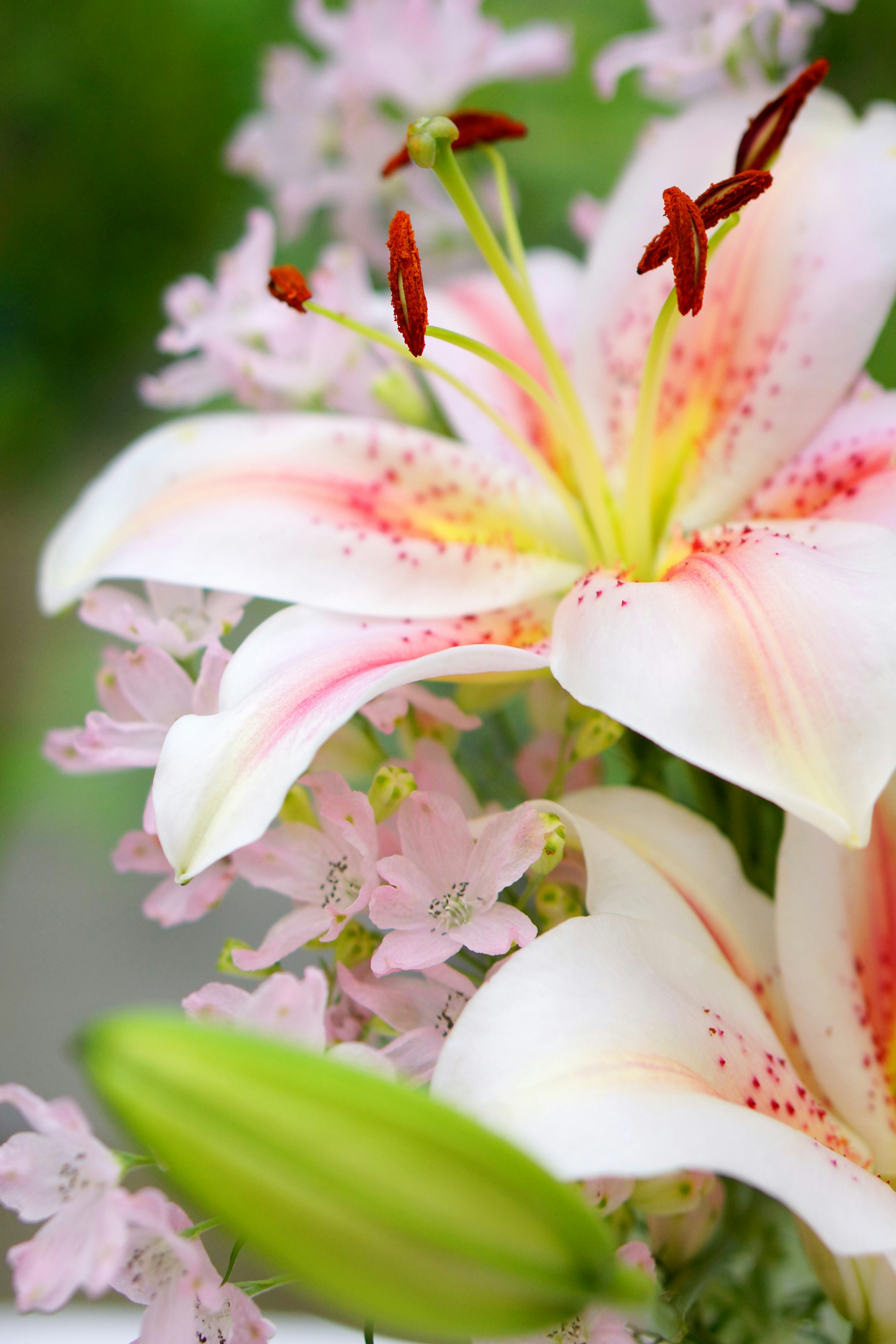 Schöner Strauß aus weißen Lilien und rosa Blumen