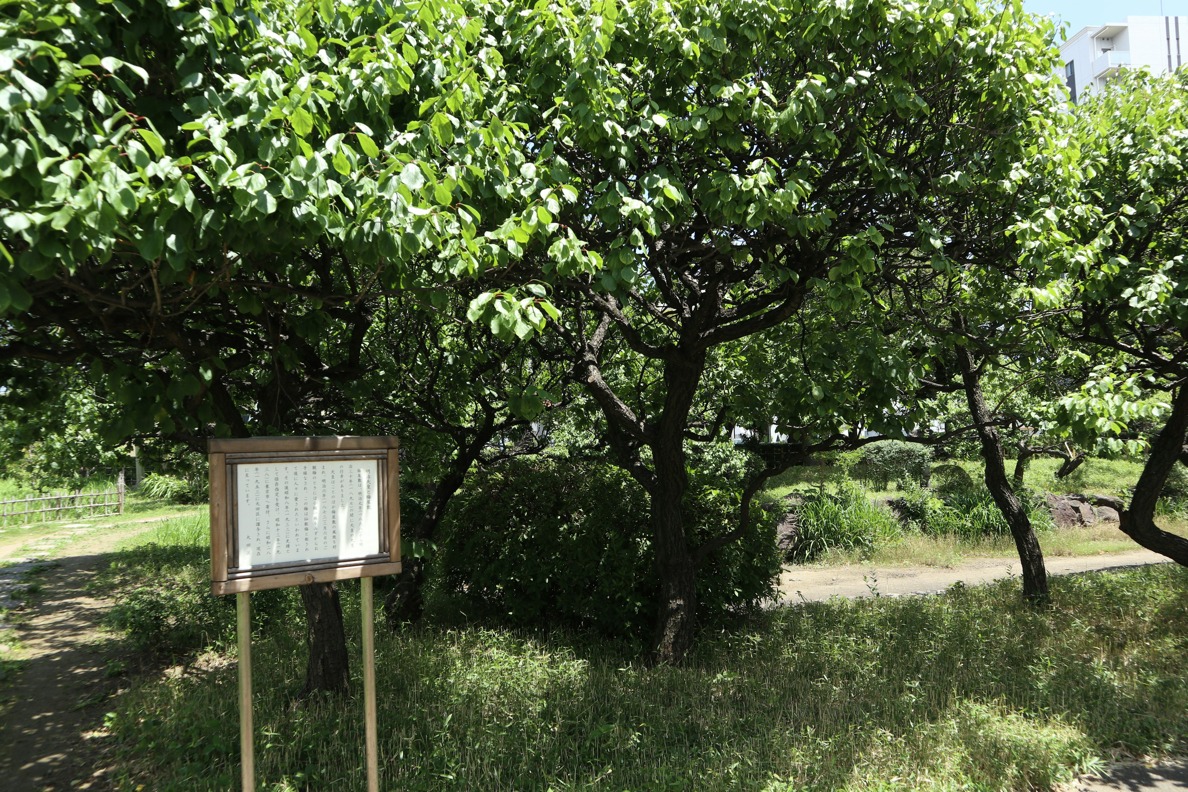 Lush green landscape with trees and an informational sign