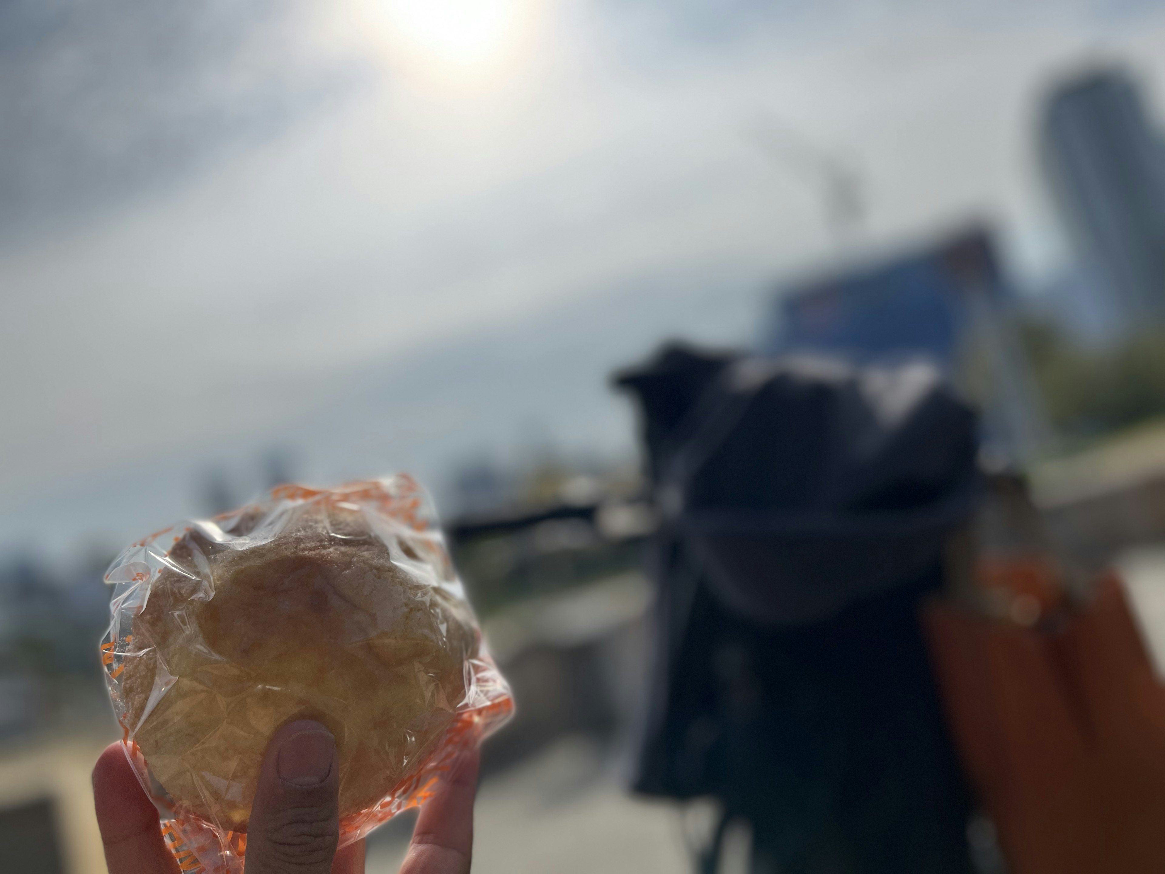 A person holding a wrapped bread with a cityscape in the background