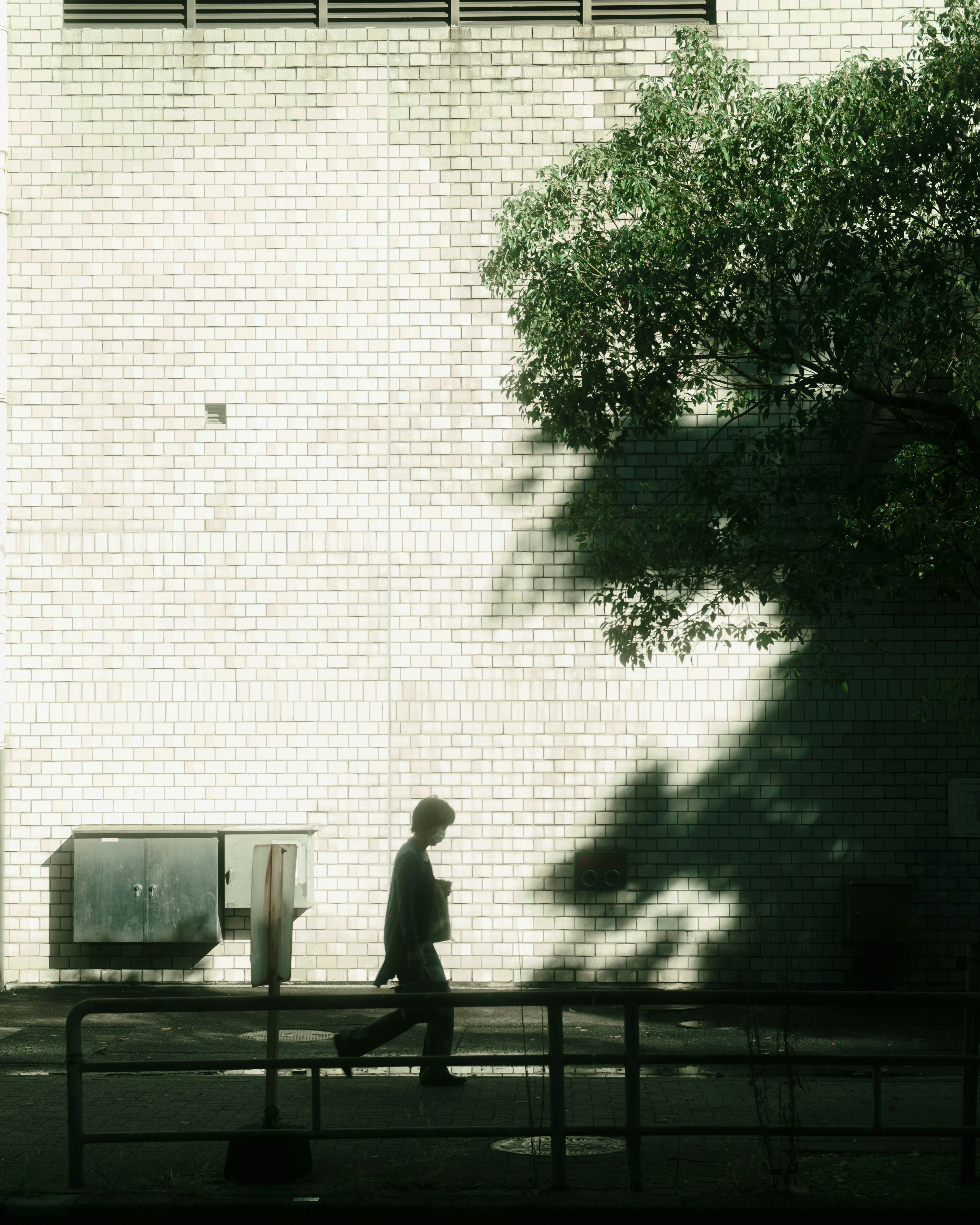 Silhouette of a person walking along a wall with a tree casting shadows