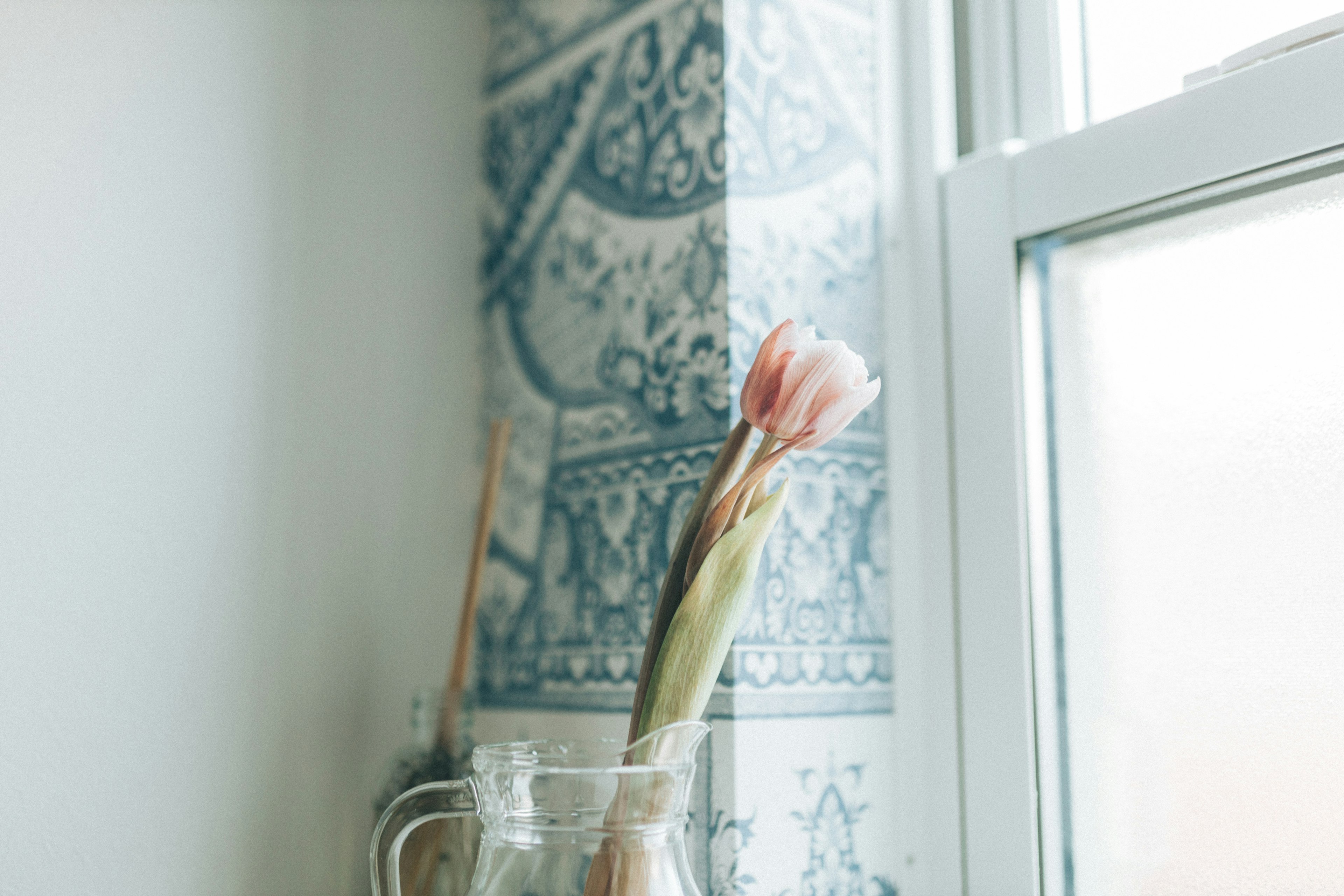 Tulipe rose dans un vase clair près d'un mur carrelé bleu