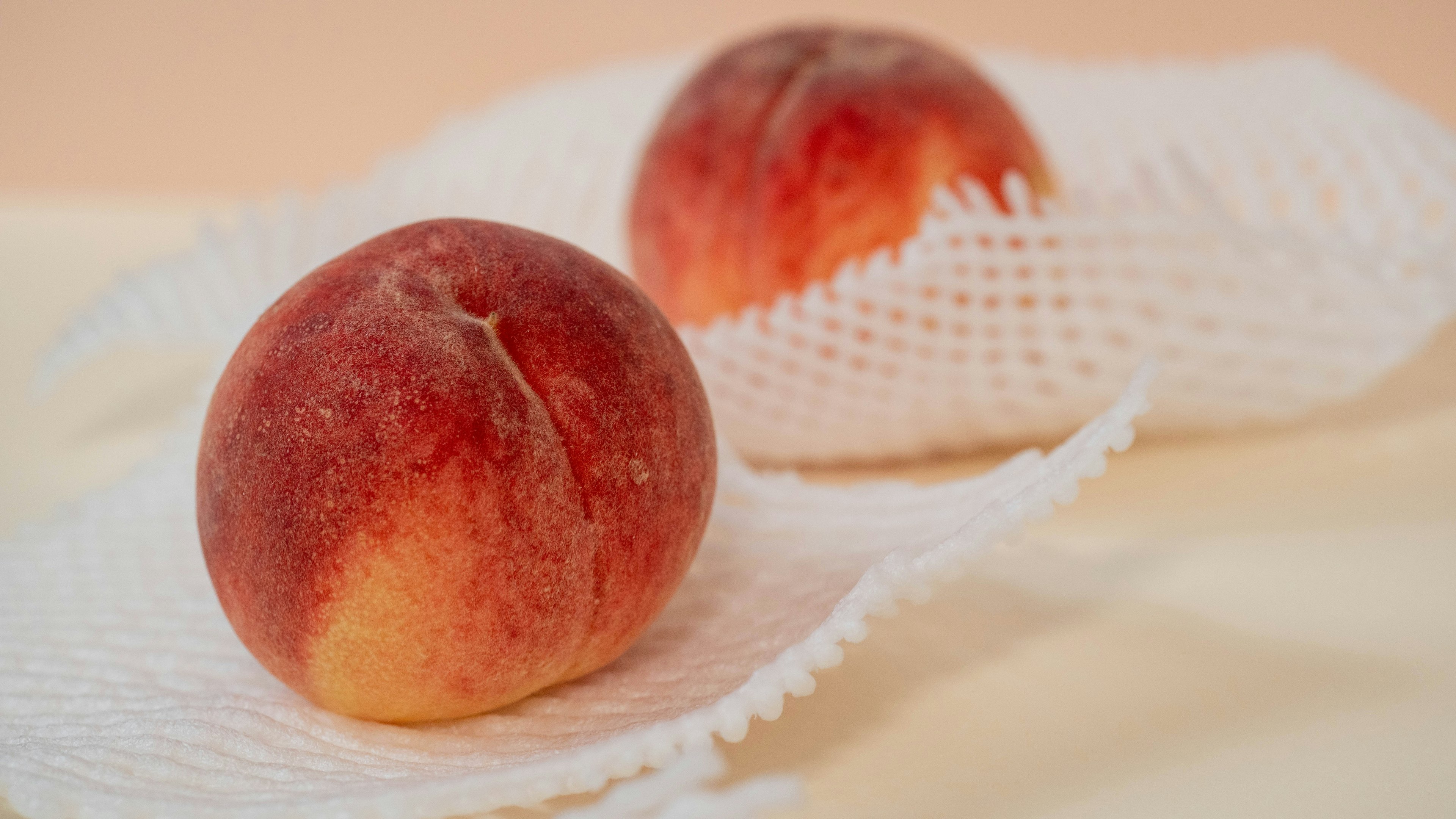 Two peaches resting on a white netting with a soft background