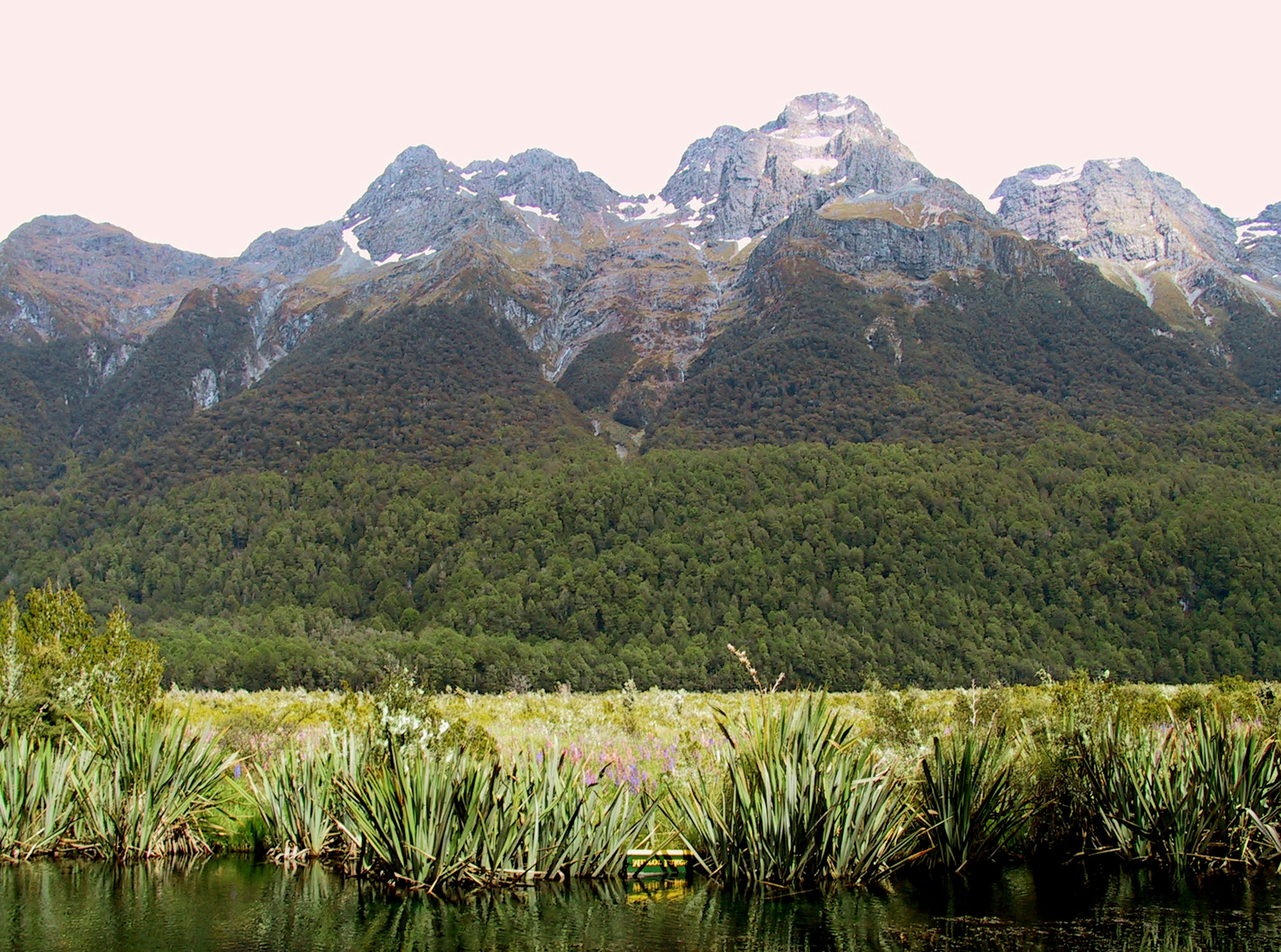 Scenic view of majestic mountains and lush green forest