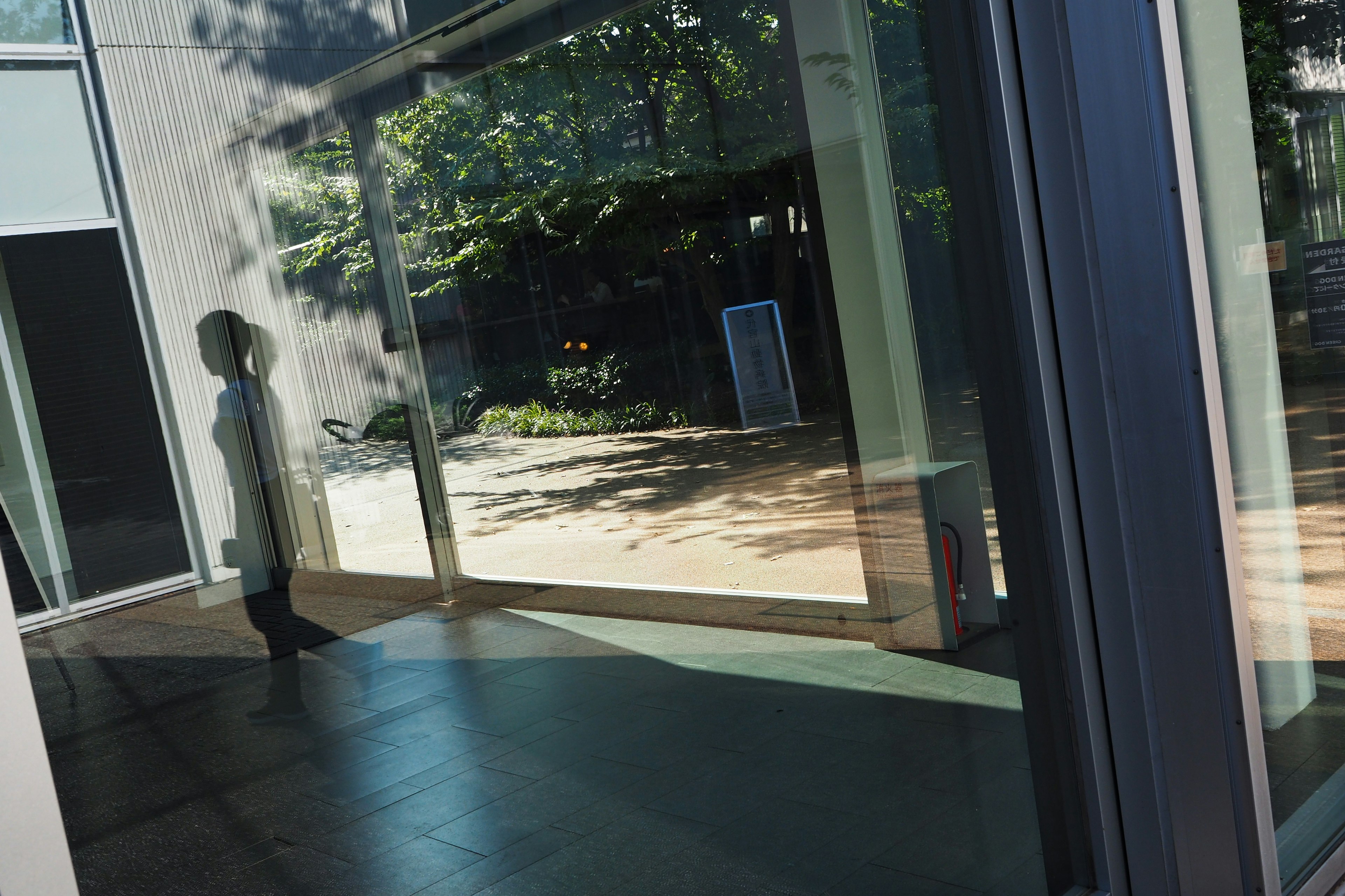 A person reflected in glass with an outdoor scene visible