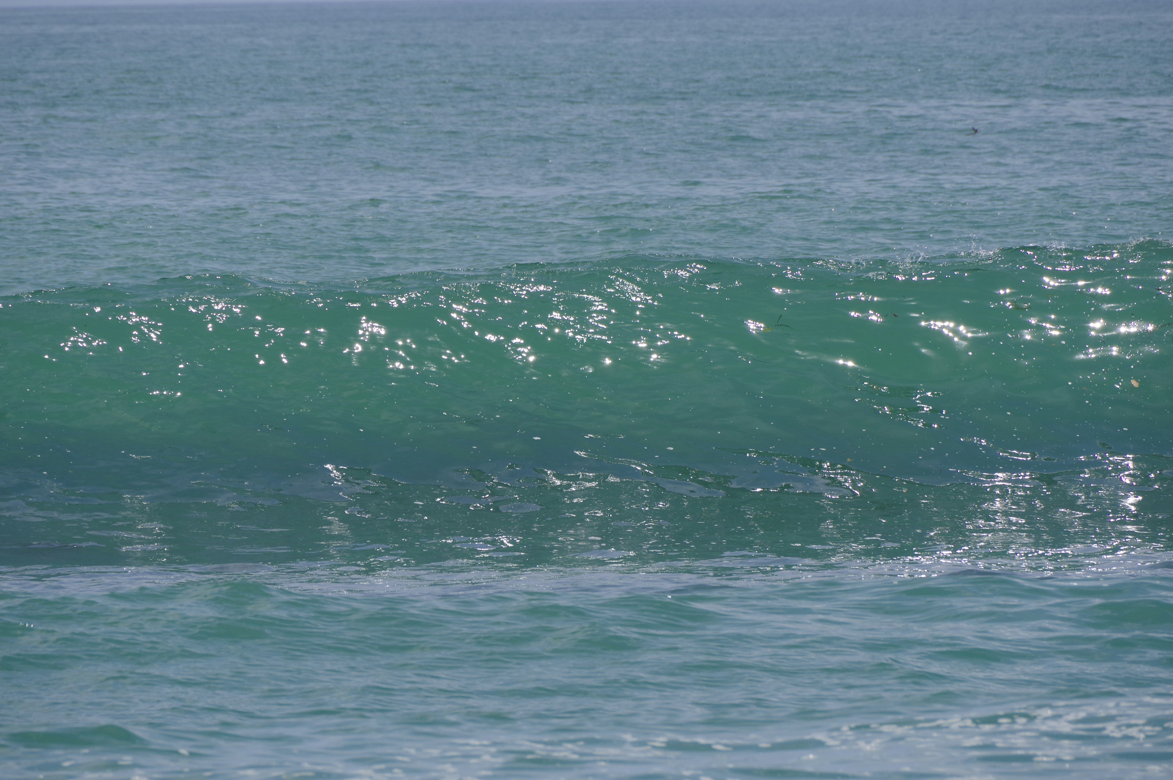 Une vue panoramique de l'océan avec des vagues vertes scintillantes