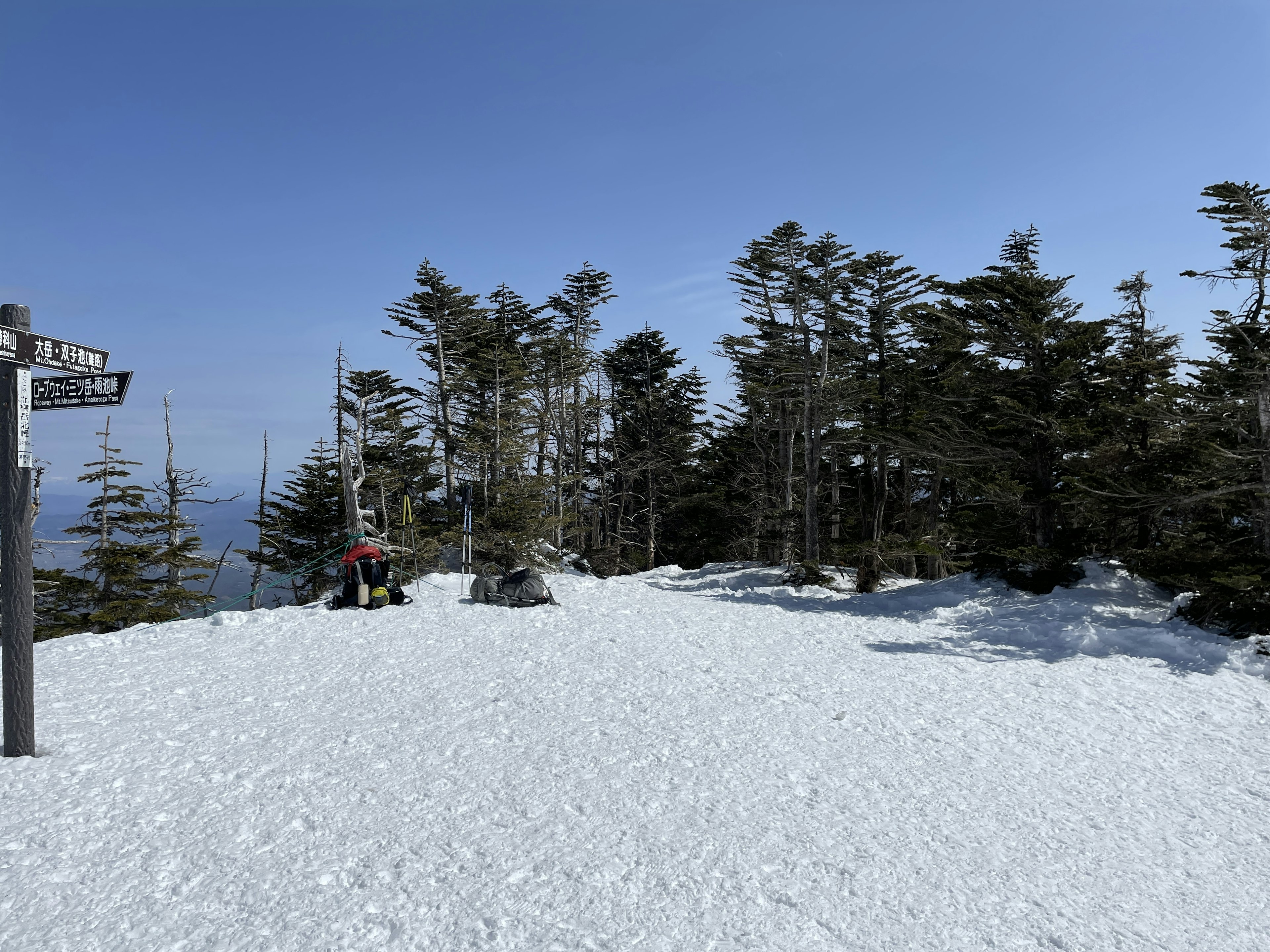 Snow-covered mountain summit landscape with trees and clear blue sky