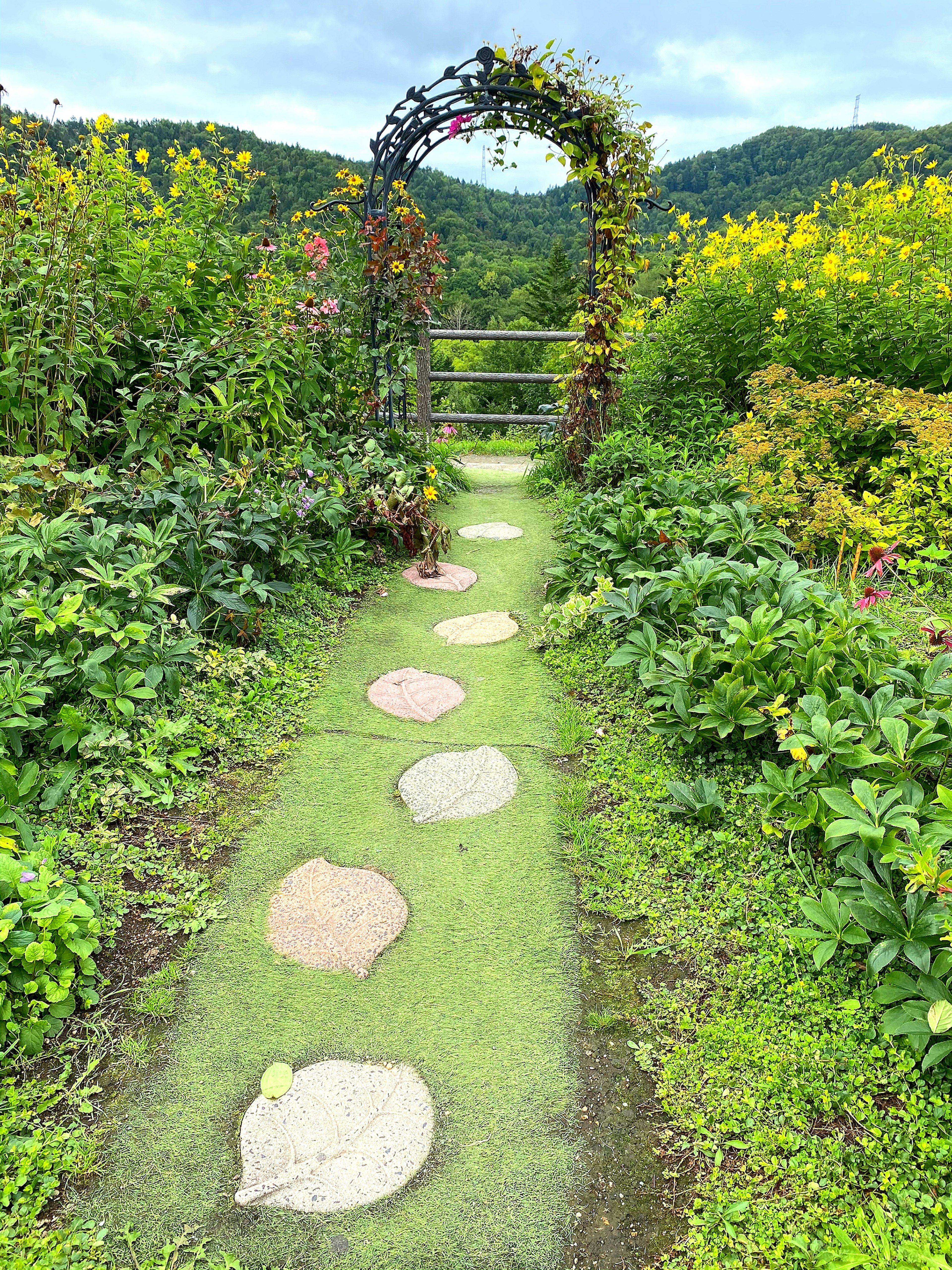 Una hermosa escena de jardín con un camino de piedra rodeado de vegetación y flores